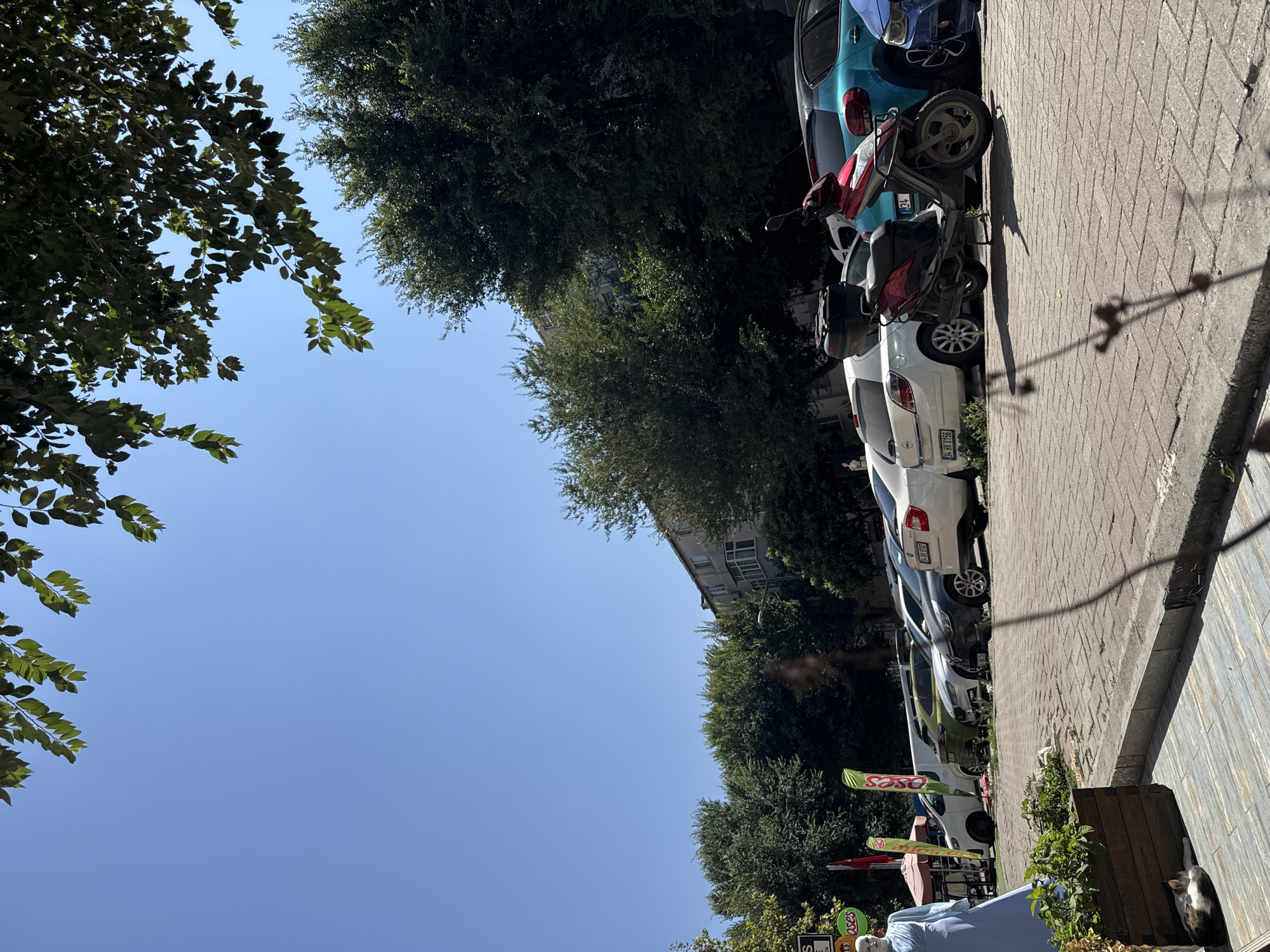 The image captures a street scene in Gungoren, Turkey, on a clear, sunny day. The foreground features a red scooter parked on a brick-paved sidewalk, with a blue car and other vehicles visible behind it. To the left, a mannequin dressed in a light blue gown stands near a planter box where a calico cat is sleeping. Beyond the parked cars, a building with multiple windows and balconies rises against a backdrop of lush green trees and a clear blue sky. Several flags and signage are also present, suggesting a commercial area.