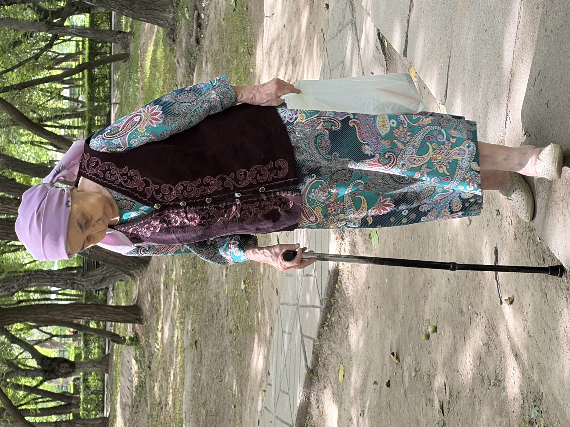 An elderly woman with a purple headscarf is walking in a park with a cane and a white plastic bag. She is wearing a dark vest over a colorful patterned shirt and pants. The park has trees with bare branches and fallen leaves on the ground. A stone pathway is visible in the foreground. The image is taken from a medium distance, focusing on the woman and her surroundings.