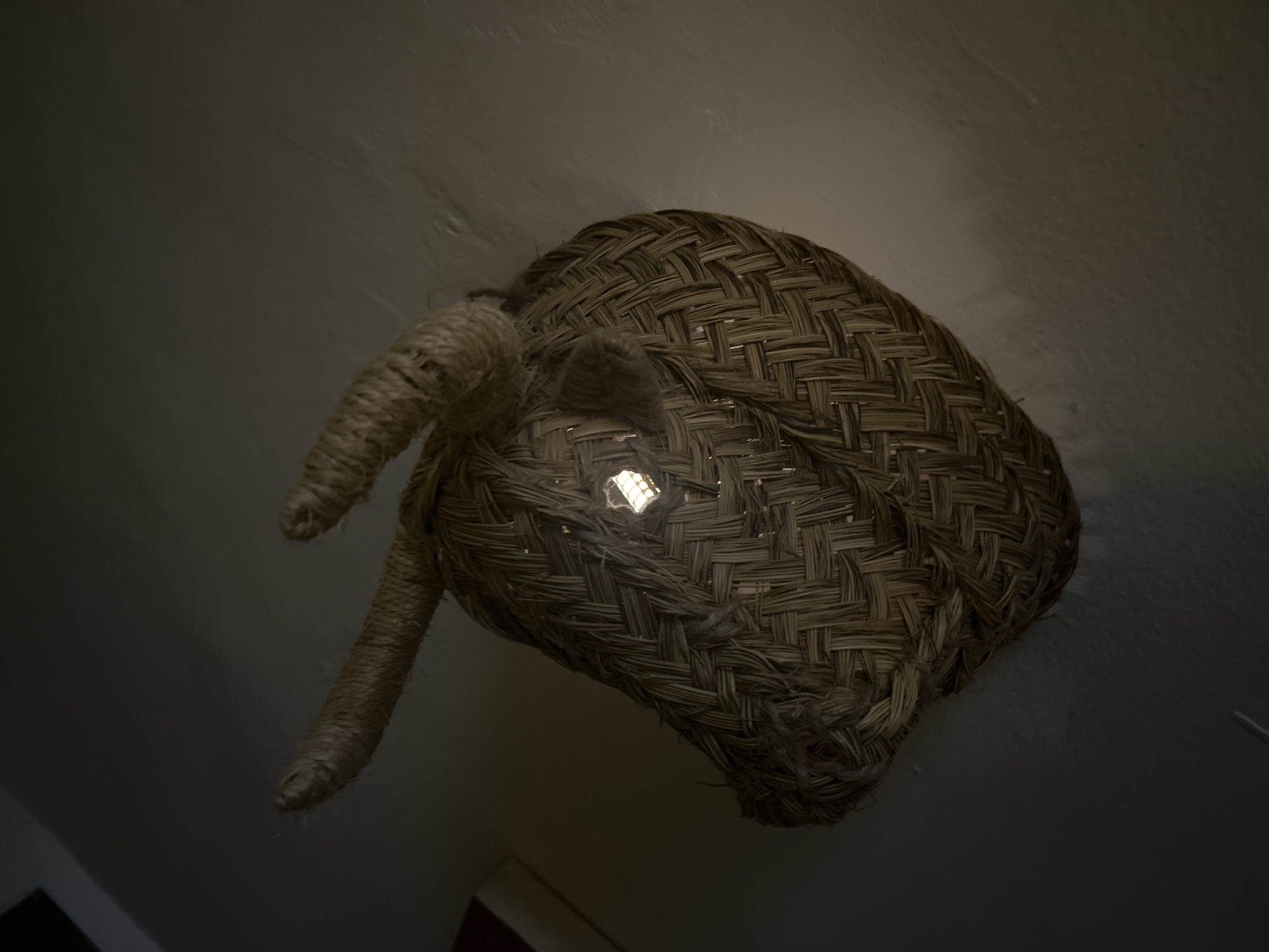 The image displays a unique light fixture or decorative object, resembling an animal head, possibly a bull or similar creature, crafted from natural woven fibers such as straw or wicker. It is mounted against a plain, light-colored wall or ceiling, viewed from a low angle looking upwards. The object features an intricate, basket-like weave pattern across its surface. Two distinct, horn-like or ear-like protrusions, made of thicker braided rope, extend from the top of the head.
A bright, illuminated light bulb is visible through a small, roughly square opening in the weaving on the front of the object, casting a focused glow. The overall scene is dimly lit, suggesting an indoor environment where this object functions as a primary or accent light source. No people are present, and no specific activity is taking place. There is no visible text. The rustic and traditional craftsmanship, coupled with the potential representation of a bull, could be indicative of cultural design elements found in locations like Barcelona, Spain.