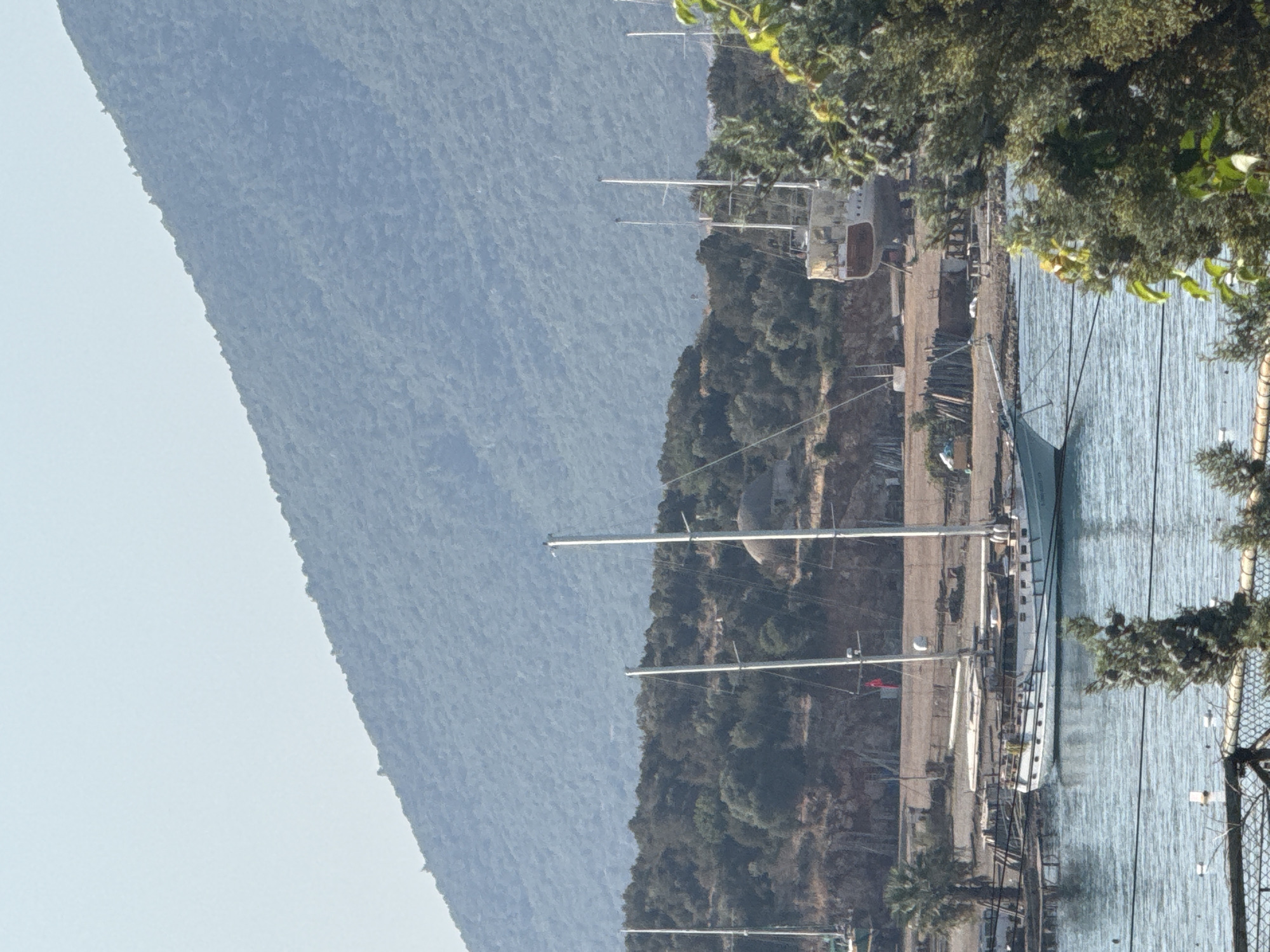 The image depicts a harbor scene in Bodrum, Turkey, characterized by a large, tree-covered mountain slope dominating the background under a clear, pale blue sky. In the middle ground, several sailboats are visible. One white sailboat with a blue stripe is docked near a wooden pier on the left. Further to the right, two tall masts of sailboats rise above the waterline, with one large, older boat partially visible behind them. The shore is lined with sparse vegetation and some construction materials, including wooden posts and a large, partially dismantled vessel on land. The foreground shows calm, blue water with some buoys and a fence partially obscuring the view. The overall impression is a peaceful maritime setting with boats at anchor or undergoing maintenance.