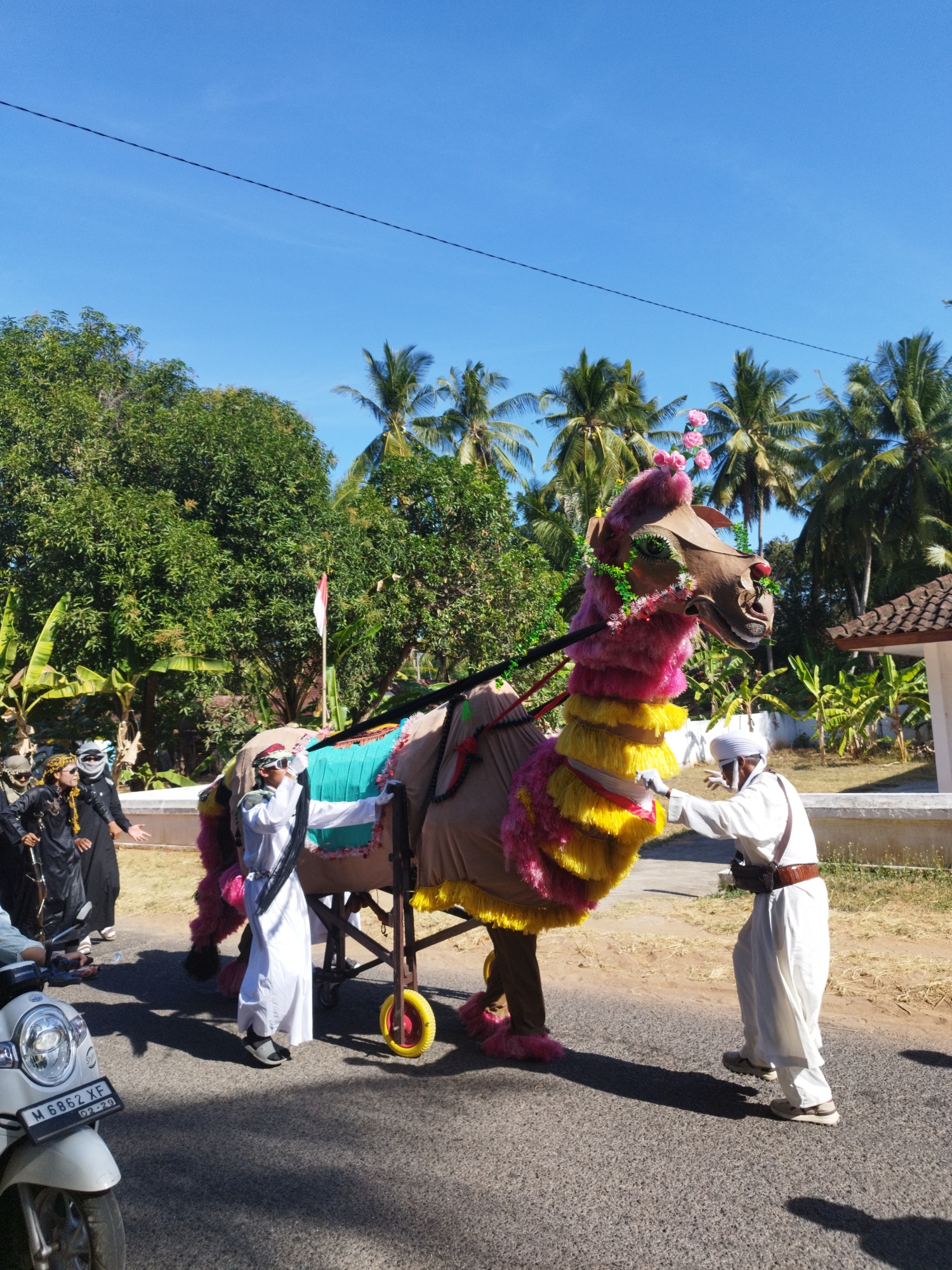 In the city of Andulang, Indonesia, on a sunny day, a camel effigy is being paraded through the street, decorated with vibrant pink and yellow fringe, and pink flowers on its head. Two men dressed in white traditional clothing are guiding the effigy; one is holding its reins, while the other is near its rear. To the left of the effigy, a group of people in dark clothing and headscarves are observing the parade. A white scooter with a license plate reading "M 6862 XF" is parked on the left side of the road. The background features lush green trees, palm trees, and a white building with a tiled roof, indicating a tropical environment. The sky is clear and blue, with a power line stretching across it. The ground is asphalted, with shadows cast by the people and the effigy.