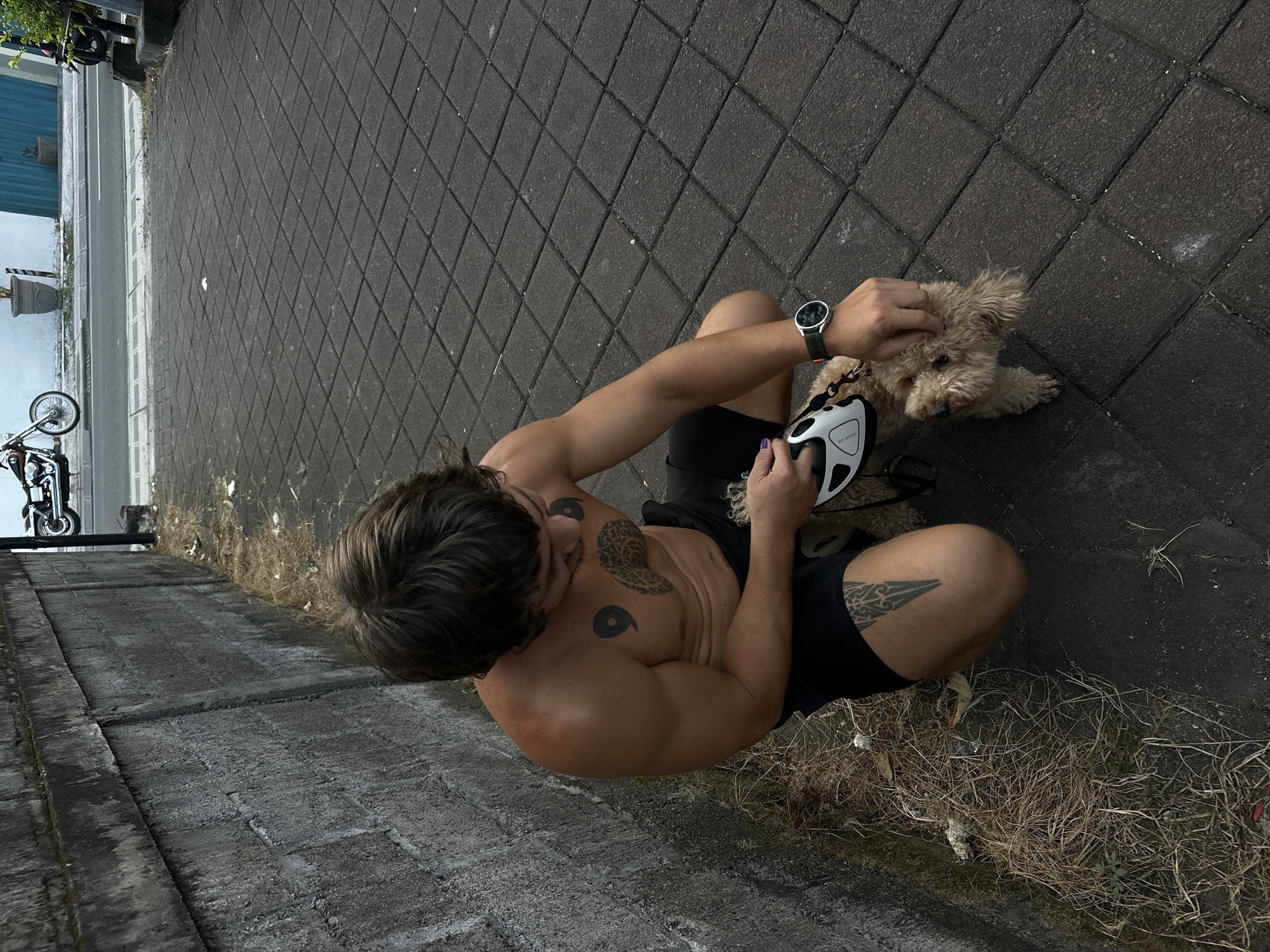 An eye-level, rotated shot shows a shirtless man with dark hair, tattoos on his left chest, and right thigh squatting on a dark, gray, tiled walkway. He is facing away from the viewer and towards a small, beige dog. The man wears a watch on his left wrist and is holding a white and black retractable dog leash in his left hand. He is gently stroking the dog's head with his right hand. The walkway is bordered on the left by a low, gray concrete wall. A narrow strip of dirt with scattered dry grass and debris separates the wall from the walkway. In the distance, a motorcycle is parked on a street next to a building painted blue and white. The location is Dalung, Indonesia.