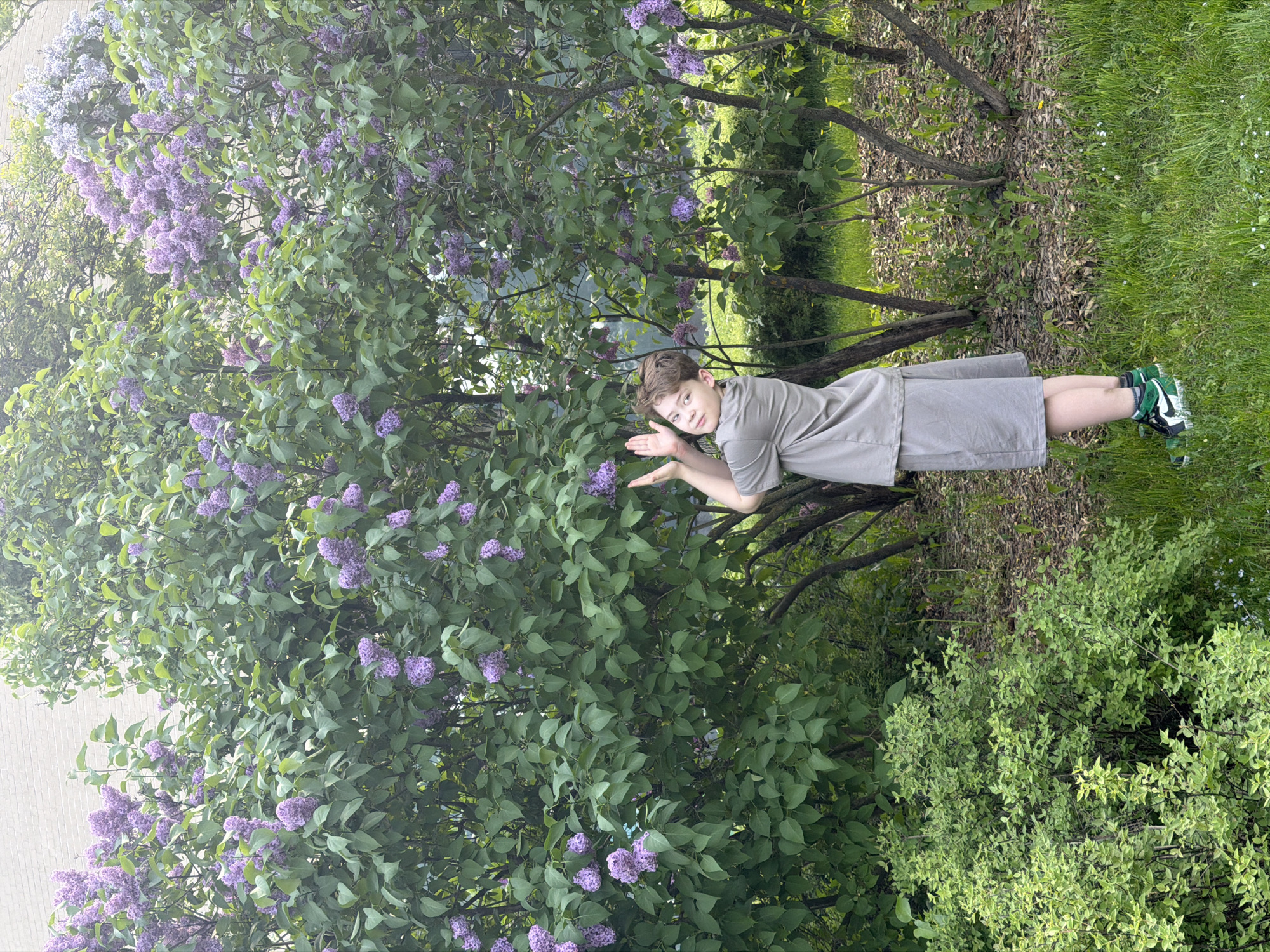 A person is in a park or garden setting, Moscow, Russia. The individual is positioned beside a lilac bush in full bloom, its branches laden with clusters of fragrant purple flowers. The person is facing the camera with their right hand extended toward the lilac blossoms, as if admiring or touching them. They are wearing a gray outfit and green shoes. The backdrop includes a green grassy area, along with other bushes and trees, completing the natural ambience of the location.