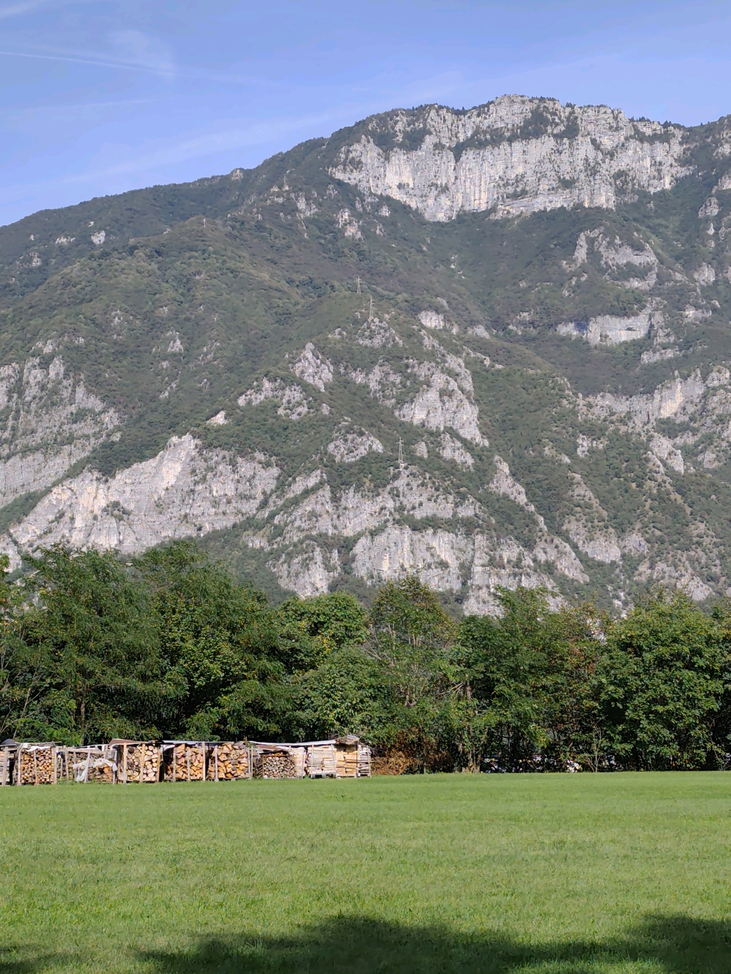 The image depicts a landscape scene with a vast, rocky mountain range dominating the background under a clear blue sky with faint cloud streaks. The mountain slopes are covered with dense green vegetation, interspersed with exposed grey rock faces. In the midground, a line of lush green trees forms a dense border. In front of the trees, in the foreground, a grassy field is visible, with several stacks of firewood arranged in rows. The firewood is neatly cut and piled within wooden frames. The scene appears to be a rural or natural setting, likely in or near Velo d'Astico, Italy, given the context. There are no people visible in the image.