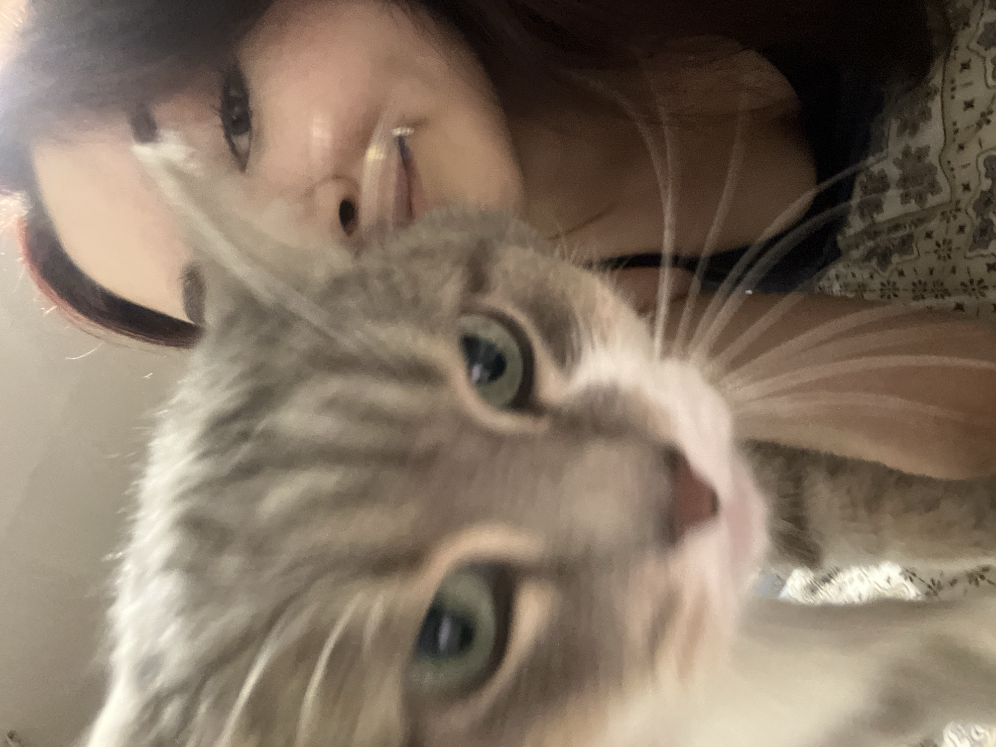 A close-up shot shows a woman and a cat. The woman's face is partially visible in the upper left corner of the frame, featuring an eye, nose, and part of her forehead. She has dark hair. The cat is positioned more centrally and appears to be the main subject. Its face fills much of the frame, with details like its eyes, nose, whiskers, and fur texture prominently displayed. The background is blurred, but a patterned surface possibly fabric is discernible. There is no information to suggest the location is Neftekamsk, Russia.