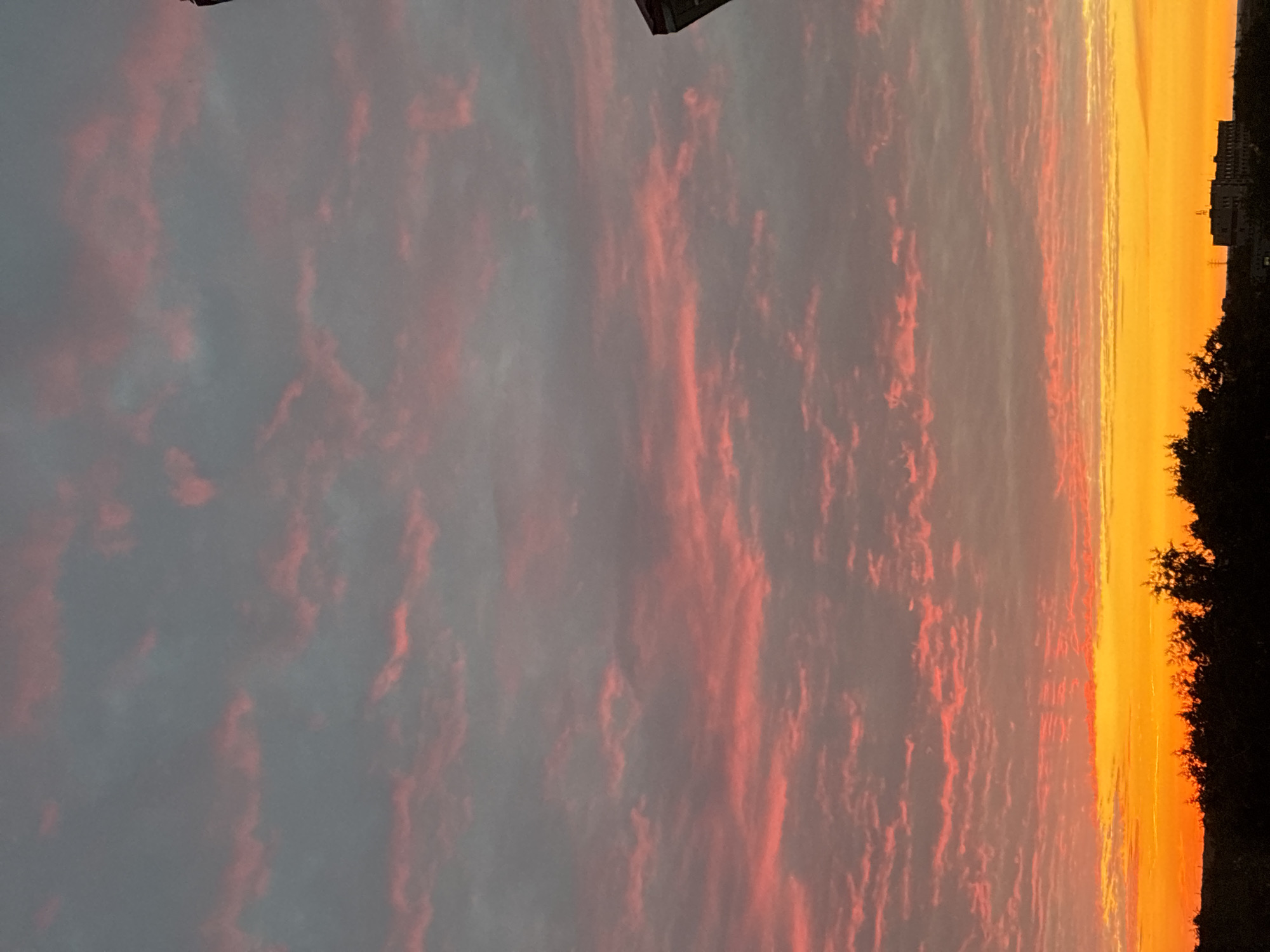 The image captures a sunset or sunrise over a distant landscape in the city of Unknown, Unknown. The sky dominates the upper two-thirds of the frame, displaying a gradient of colors. The uppermost sky is a muted grey-blue with scattered, elongated pink cloud formations. Below this, the clouds become denser and more vibrant, appearing as horizontal bands of intense red and pink. These clouds transition downwards into a brilliant strip of orange and yellow light, indicative of the sun's position just below the horizon. The lowest portion of the image features a dark, silhouetted band of dense foliage, likely trees and shrubs, stretching across the entirety of the foreground. Above this foliage on the right side, a multi-story building with a discernible roofline is visible in silhouette. In the extreme upper right corner, a dark, angled architectural element, possibly a roof or antenna, is partially visible, cropped by the frame. No individuals or specific actions are discernible within the scene.