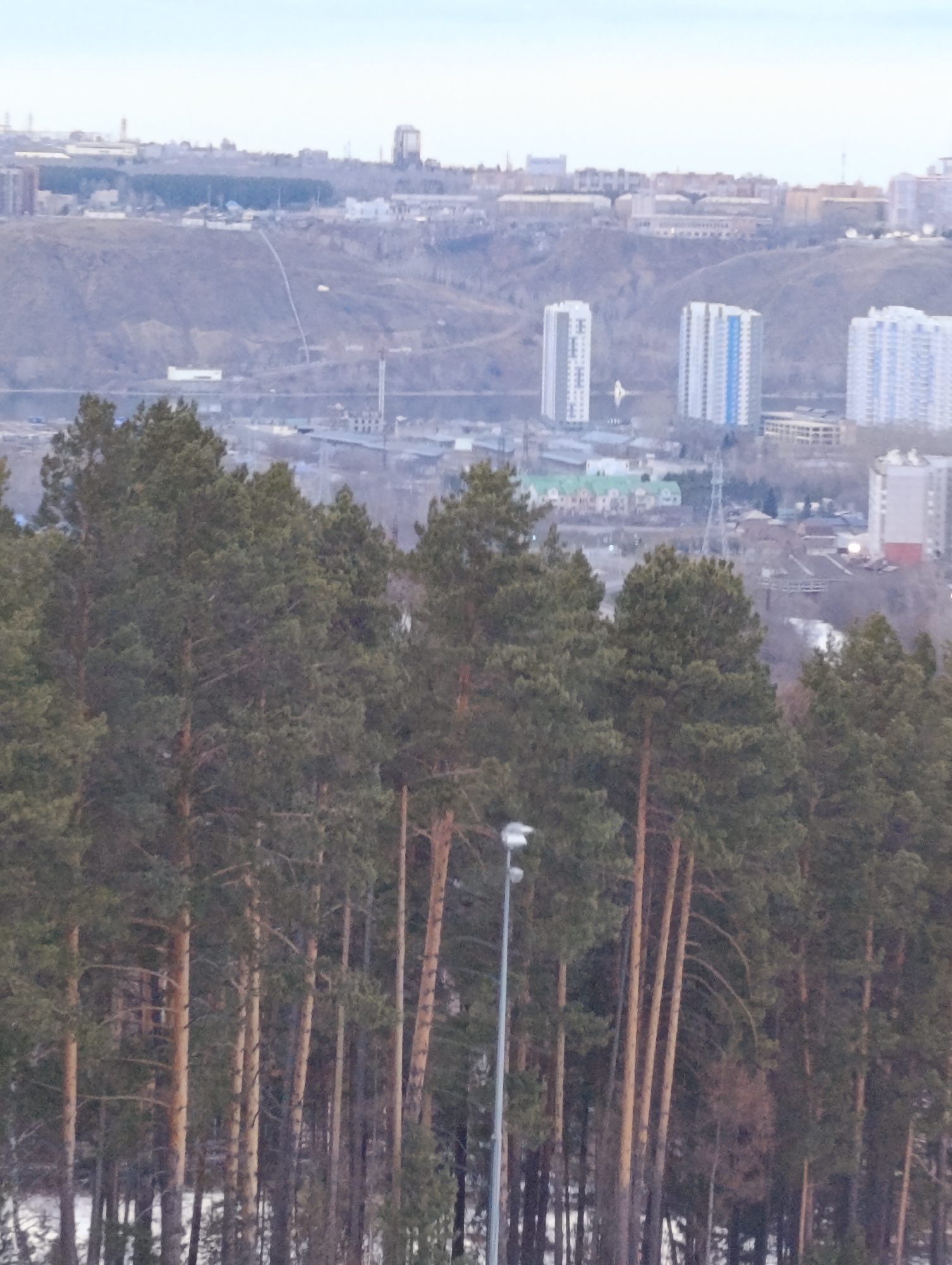 The image shows a cityscape viewed from a higher vantage point, likely within Krasnoyarsk, Russia. In the foreground are several tall pine trees, their trunks appearing slender and densely packed. At the bottom of the image, a patch of snow is visible. A streetlight stands among the trees on the right side. In the background, across a lower-lying area, lies the city. Several high-rise apartment buildings can be seen, some with distinctive blue and white facades. Further back, a hilly terrain separates the nearer urban area from more distant structures. The scene is captured in soft, muted light, suggesting either early morning, late afternoon, or overcast conditions.