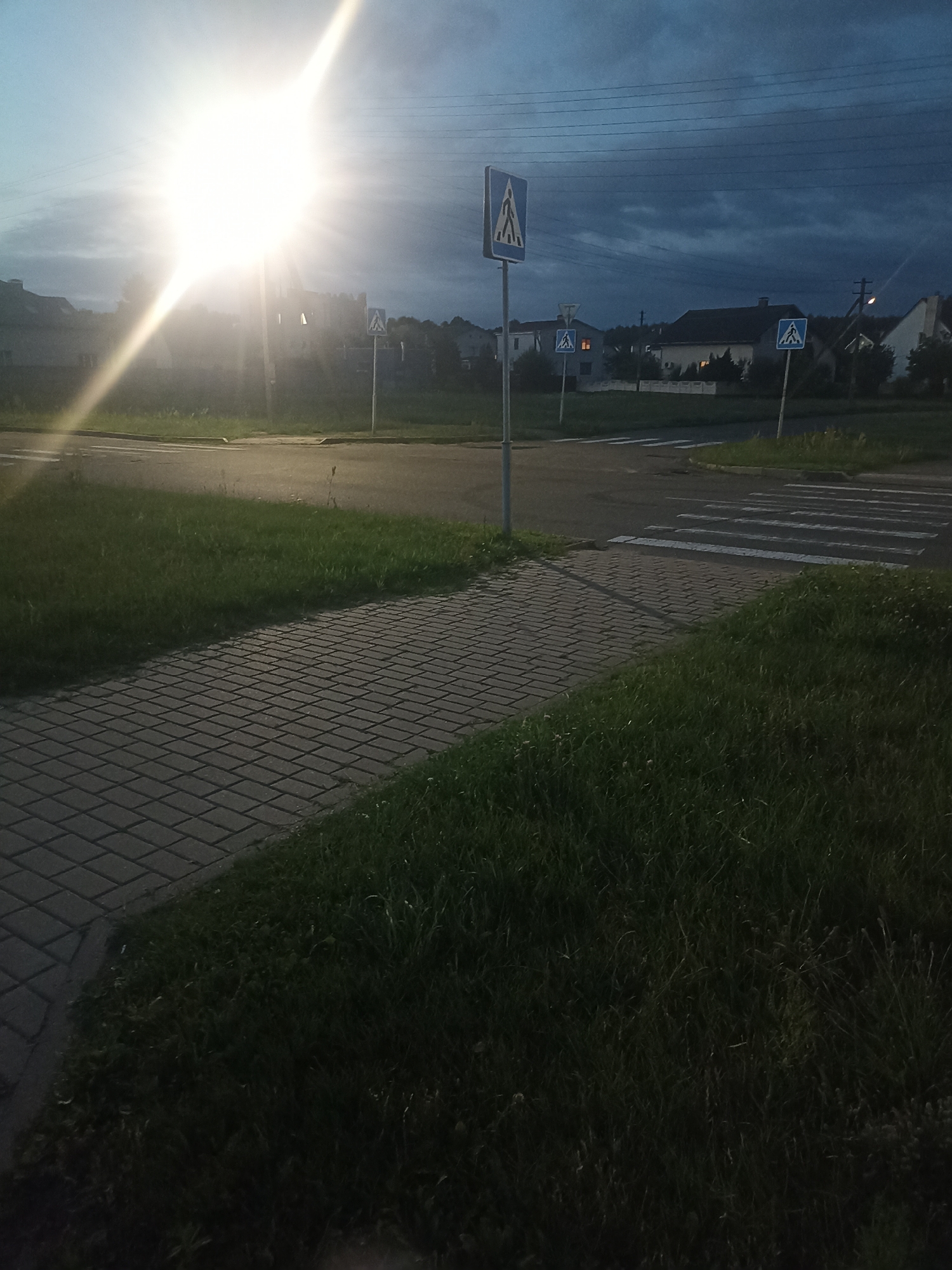 A nighttime street scene in Homyel, Belarus, features a bright streetlamp causing lens flare in the upper left quadrant. In the foreground, a paved walkway runs alongside a grassy area. A road with a pedestrian crossing is visible in the mid-ground, with multiple blue pedestrian crossing signs on poles spaced along the sidewalk. In the background, houses with illuminated windows are present. The sky is dark and cloudy.