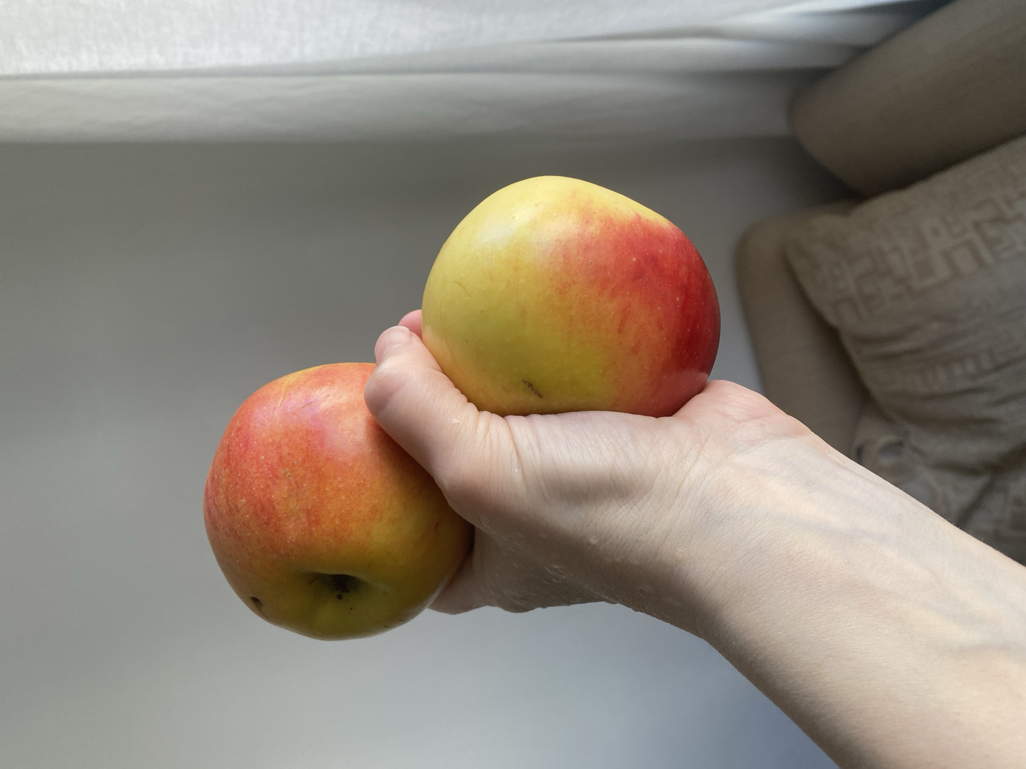A right hand is holding two apples. The apples are red and yellow. The background is a white wall and a beige cushion. The scene appears to be indoors, possibly in a home. The location is unknown and is not evident from the image.