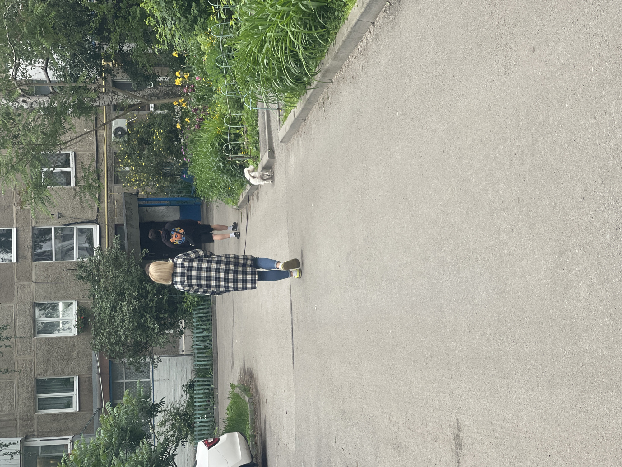 The image depicts an outdoor residential scene in Poltava, Ukraine, captured during bright daylight. A paved path or courtyard stretches through the center, leading towards a multi-story building on the left. This building features a plain concrete facade and multiple windows with white frames. An air conditioning unit is mounted on its exterior.
In the foreground, seen from behind, a person with blonde hair walks on the path, wearing a black, white, and dark blue plaid long-sleeved shirt or jacket, blue jeans, and yellowish-green shoes. Further ahead, near the building's entrance, another person in dark clothing, including shorts and a t-shirt with a graphic, stands with their back to the camera. A third individual is partially visible within the darkened entrance.
To the right of the paved path, a lush green area flourishes with tall grass, bushes, and trees. Some yellow and purple flowers add touches of color to the greenery. A low, light green metal fence separates this natural strip from the building's surroundings. A small, light-colored dog is seen standing on the grassy verge. A portion of a white car is visible in the lower left corner of the frame. The scene portrays typical daily life in an urban residential setting. No visible text or specific emotions are discernible.