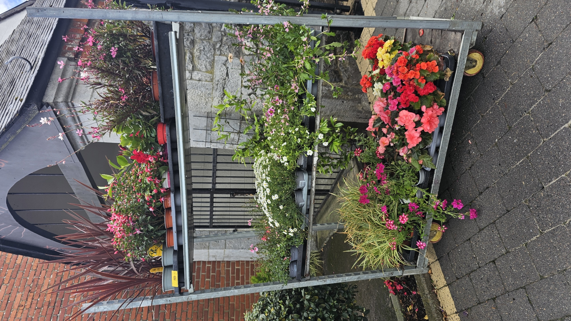 This image, set in Boussu-lez-Walcourt, Belgium, captures a vibrant outdoor display of various potted flowering plants arranged on a multi-tiered metal cart. The scene appears to be outside a building, possibly a garden center, flower shop, or a commercial establishment with an outdoor plant section.
The primary subjects are the numerous flowering plants, showcasing a wide array of colors and types. On the upper tiers, there are plants with delicate pink flowers, likely Gaura lindheimeri, alongside plants with darker, reddish-brown foliage, possibly Cordyline. Below them, fuchsia plants with their distinctive dangling pink and red blossoms are visible, next to plants with bright red blooms, possibly geraniums.
The middle and lower tiers feature a variety of other flowers, including beds of white daisies, smaller pink flowering plants, and a variegated grass-like plant with striped green and yellow leaves. At the top right of the cart, several pots are filled with large, colorful begonia blooms in shades of red, orange, yellow, and various pinks, including lighter pastel tones.
The plants are displayed in dark plastic nursery pots, some of which have small yellow tags, though no discernible text is legible. The metal cart is a common design for plant transport and display, featuring multiple shelves and visible yellow wheels at the bottom right, indicating its mobile nature.
In the background, architectural elements are visible. On the left, a building with a dark gray tiled roof and a black arched entrance suggests an older, traditional style. Further back, a stone wall and a reddish-brown brick wall are seen, adding to the European setting. The ground is paved with dark gray rectangular asphalt blocks, suggesting a sidewalk or courtyard. The lighting appears soft and even, indicating either an overcast day or indirect light. There are no people visible in the frame.