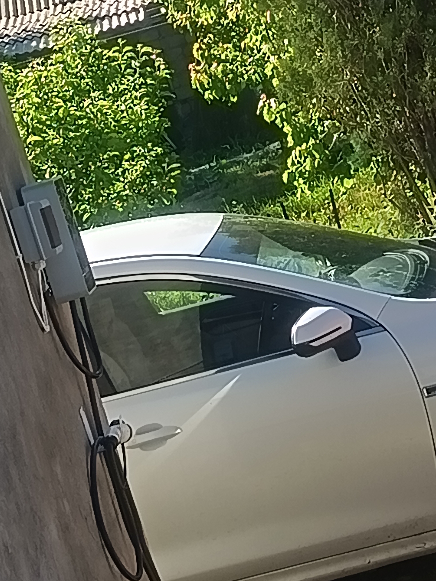 A light-colored, likely white or silver, modern car is parked and actively charging via an electric vehicle (EV) charging station. The charging station consists of a grey electrical enclosure mounted on a dark, vertical support structure, possibly a wooden post or wall, in the foreground on the left. A thick black coiled cable extends from the bottom of the enclosure, with a white charging handle clearly visible and plugged into the car's front fender area.
The car, appearing to be a coupe or sedan, features a slightly tinted passenger-side window reflecting green foliage, a two-toned side mirror (white cap, black base), and a flush-mounted, pop-out style door handle on the front passenger door. Minor dust or dirt specks are visible along the lower body of the vehicle. Through the windshield, indistinct reflections of the interior and surrounding environment are visible.
The background is dominated by lush, dense green foliage, consistent with bushes and trees, illuminated by bright sunlight. In the upper left corner, a portion of a tiled roof with a wave or scallop pattern is visible, indicating a nearby building. The overall scene suggests an outdoor charging location during daylight hours. No individuals are present in the image.
Location: City of Unknown, Unknown.