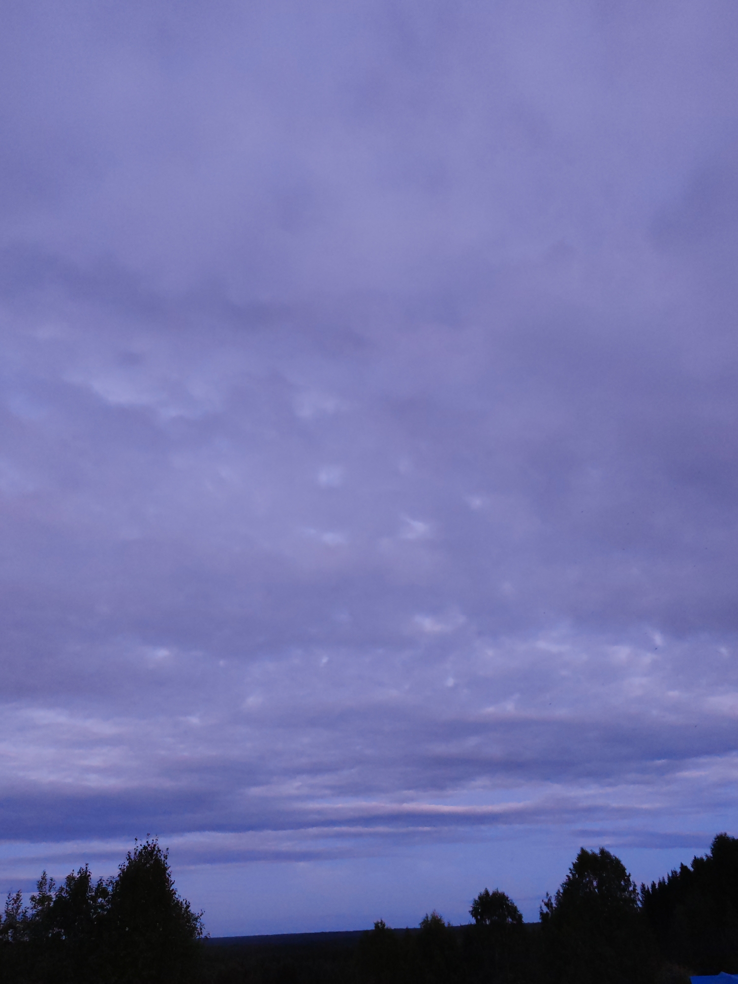 The image depicts a serene, dusk scene in Чухлэм, Russia. The sky is dominated by a soft, muted palette of purple and blue hues, indicative of twilight. Wispy, elongated clouds stretch horizontally across the expanse, suggesting a gentle breeze. Below the sky, a dark, silhouetted landscape unfolds. The foreground is occupied by the tops of trees, their foliage dense and shadowy, creating a stark contrast against the lighter sky. The overall impression is one of quietude and natural beauty, characteristic of a rural or natural setting at the end of the day. There are no people or specific man-made structures clearly visible, reinforcing the focus on the natural environment.