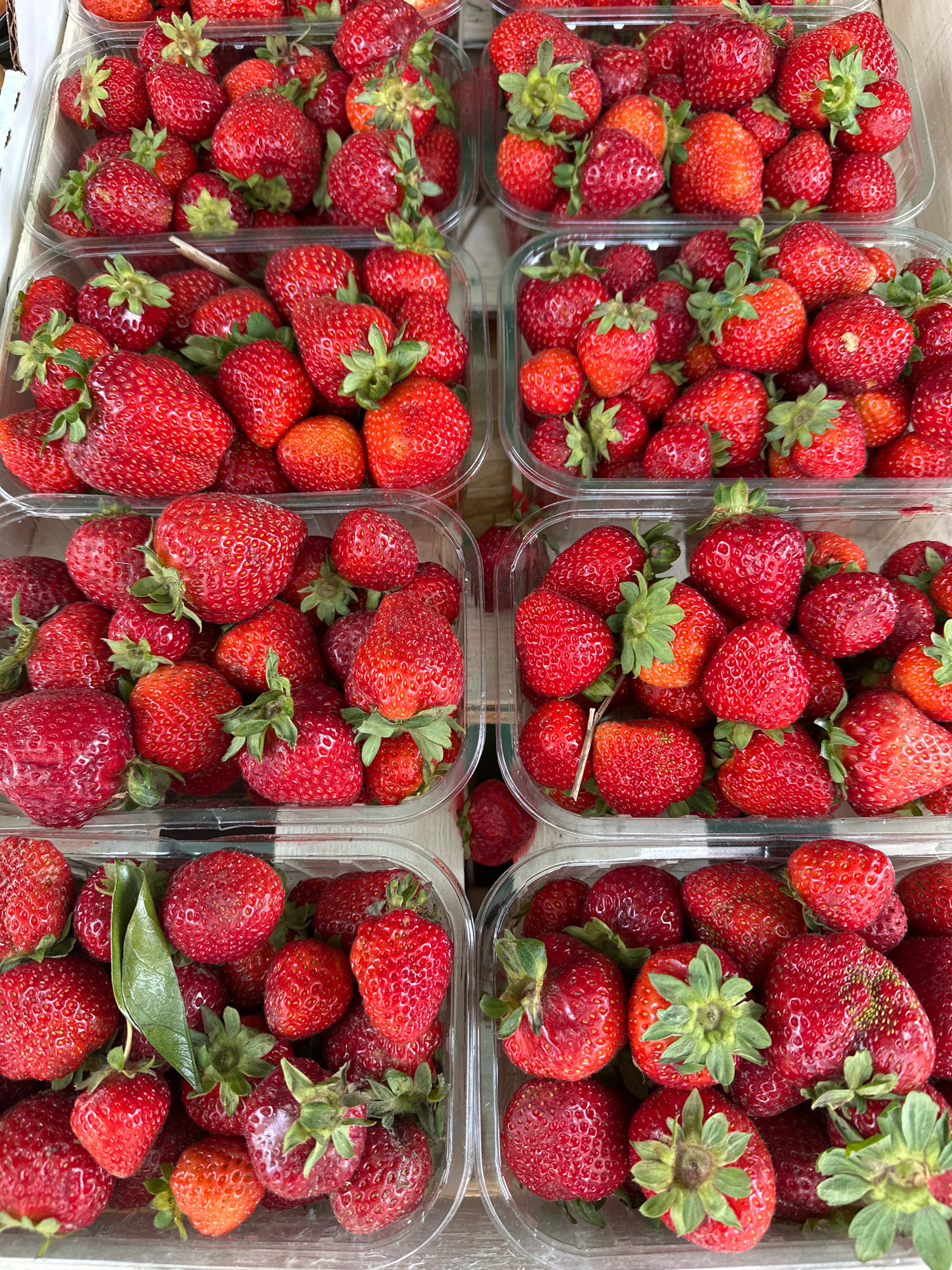 A high-angle, close-up shot captures several clear plastic containers overflowing with ripe strawberries. The strawberries are predominantly a vibrant red, with some showing slight variations in color from bright red to a deeper crimson, and a few appearing slightly orange-red. The fruits are packed closely together, creating a textured surface. Green calyxes are visible on many of the strawberries. The containers are arranged in rows, suggesting a market or retail display. The background is out of focus, but hints at a light-colored surface. The scene is static, with no people or movement depicted. The image was taken at a market in Vidnoye, Russia, where strawberries are being sold.