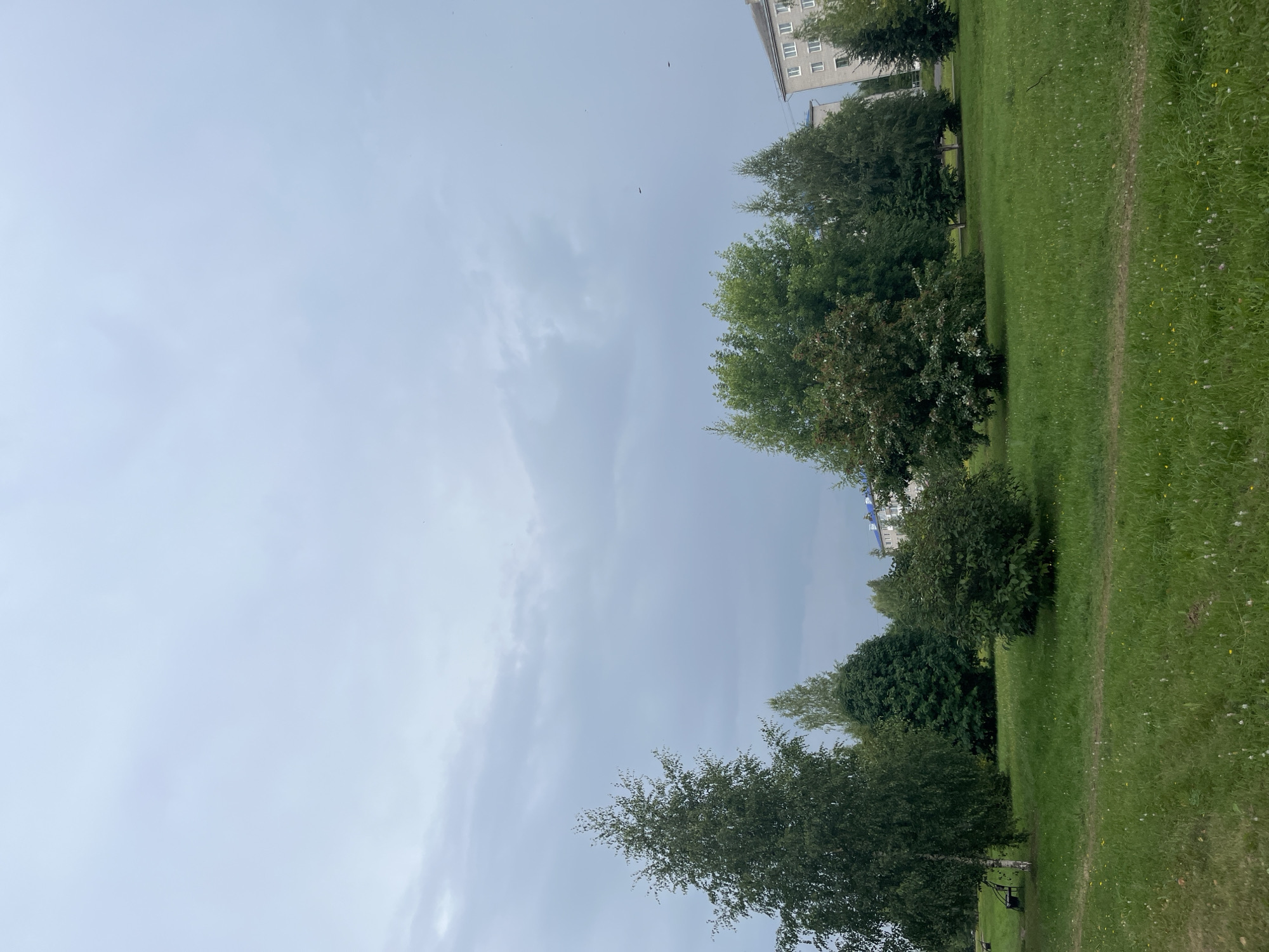 A cloudy sky looms over a grassy park area with scattered trees and buildings in Kotlas, Russia. In the foreground, a well-maintained lawn is visible, with a dirt path winding through it. To the left, a tall birch tree stands prominently, with a park bench visible beneath it. Several other deciduous and evergreen trees are scattered throughout the park, with some bushes also present. In the background, residential buildings, typical of Soviet-era architecture, can be seen. The overall atmosphere is overcast and calm.