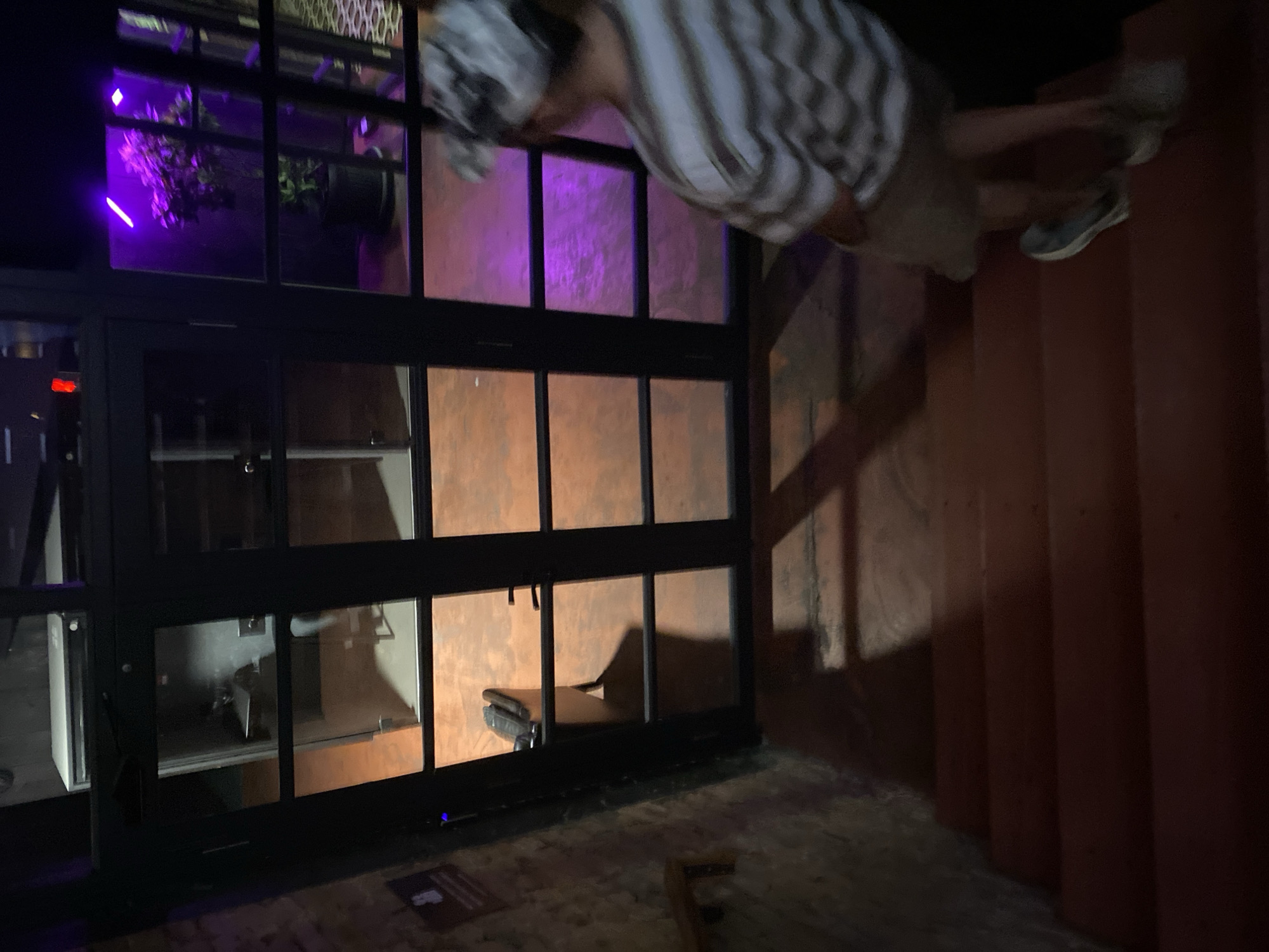 An individual wearing a striped shirt and shorts walks down a set of red stairs in front of a set of glass doors. The doors reflect orange light from the floor inside. Through the glass, a potted plant is visible, illuminated by purple lights. The scene is likely in Tbilisi, Georgia, given the context.