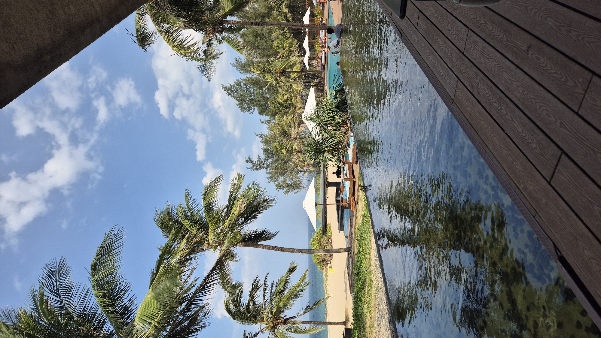 This is a vertical, eye-level, medium-wide shot of a resort pool and beach scene on a bright, sunny day in Hoi An, Vietnam. In the foreground, a wooden deck leads to a clear, shallow pool with visible pebbles and aquatic plants on the bottom. The pool reflects the sky and surrounding palm trees. Beyond the pool is a sandy beach with several white beach umbrellas providing shade for lounge chairs. A few people are visible, some sitting under the umbrellas and others in the distance near the ocean. Lush palm trees and other tropical vegetation line the edge of the beach, with the ocean and a calm sky with scattered clouds in the background.
