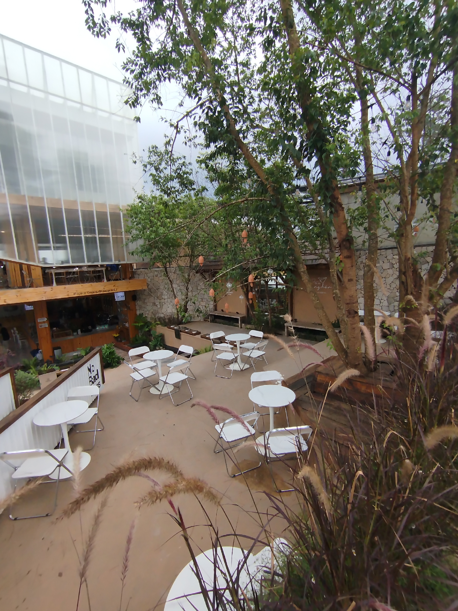 The image displays an empty, tranquil outdoor seating area of a modern cafe or restaurant, likely situated in Da Lat, Vietnam. The scene is captured from a slightly elevated vantage point, looking down into a courtyard or terrace setting.
The primary subjects include a series of white round tables paired with white folding chairs, neatly arranged on a light-colored paved ground, all unoccupied. Large, mature trees with prominent trunks and lush green foliage are central to the composition, their branches decorated with string lights and distinctive orange, lantern-like ornaments. In the foreground and around the trees, tall, wispy ornamental grasses with dark, purplish plumes add a natural, textured element to the environment.
In the background, a multi-story building features a distinctive translucent or frosted glass-paneled facade, revealing structural beams within. Below this, a wooden architectural section houses the lower part of the cafe, where a service counter or bar area is visible. A rustic stone wall forms part of the cafe's exterior. No people are present, lending the scene a quiet and serene atmosphere.
The time of day appears to be daytime under an overcast sky, providing soft, diffused lighting. The overall aesthetic suggests a contemporary, nature-integrated design common in cafes in cooler climates like Da Lat.
Visible text elements include "#wakenbeans #awakenU" and "order" on a wooden beam above the cafe's lower section. A partially visible sign reads "No Bad" (likely part of "No Bad Vibes"). Some unclear Vietnamese script is also visible on a distant wall.