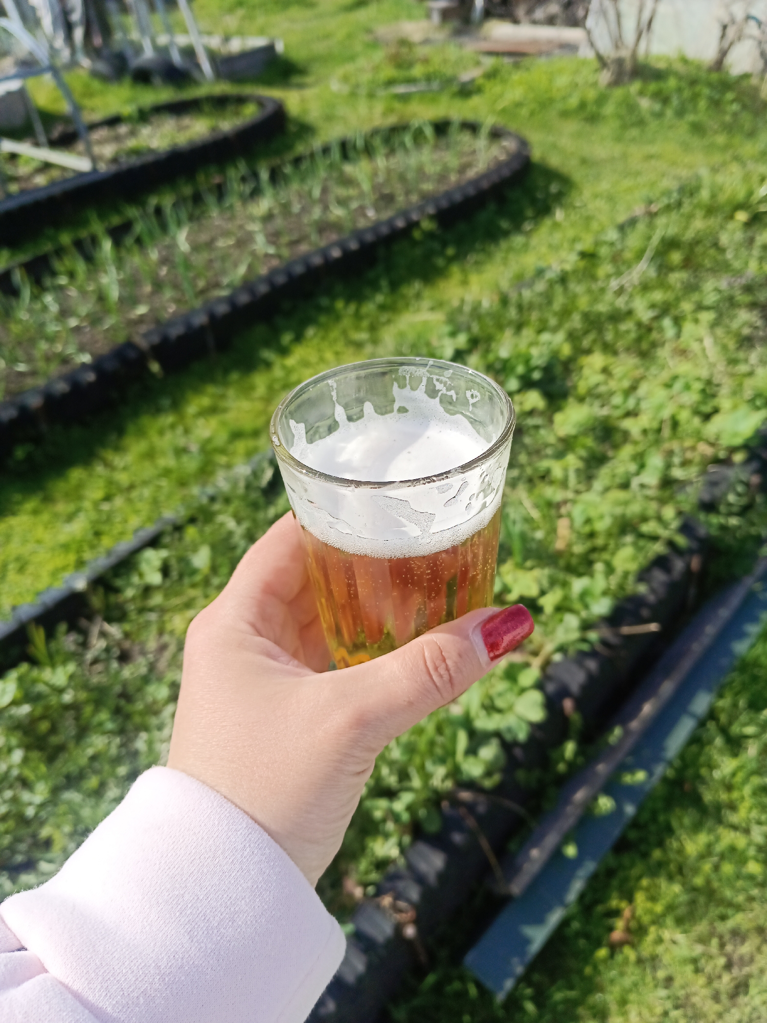 A woman's hand, with red painted nails, holds a glass of beer with a thick head of foam. The background is a grassy outdoor area with garden beds lined with black rubber. The location is potentially Вичелово, Russia.