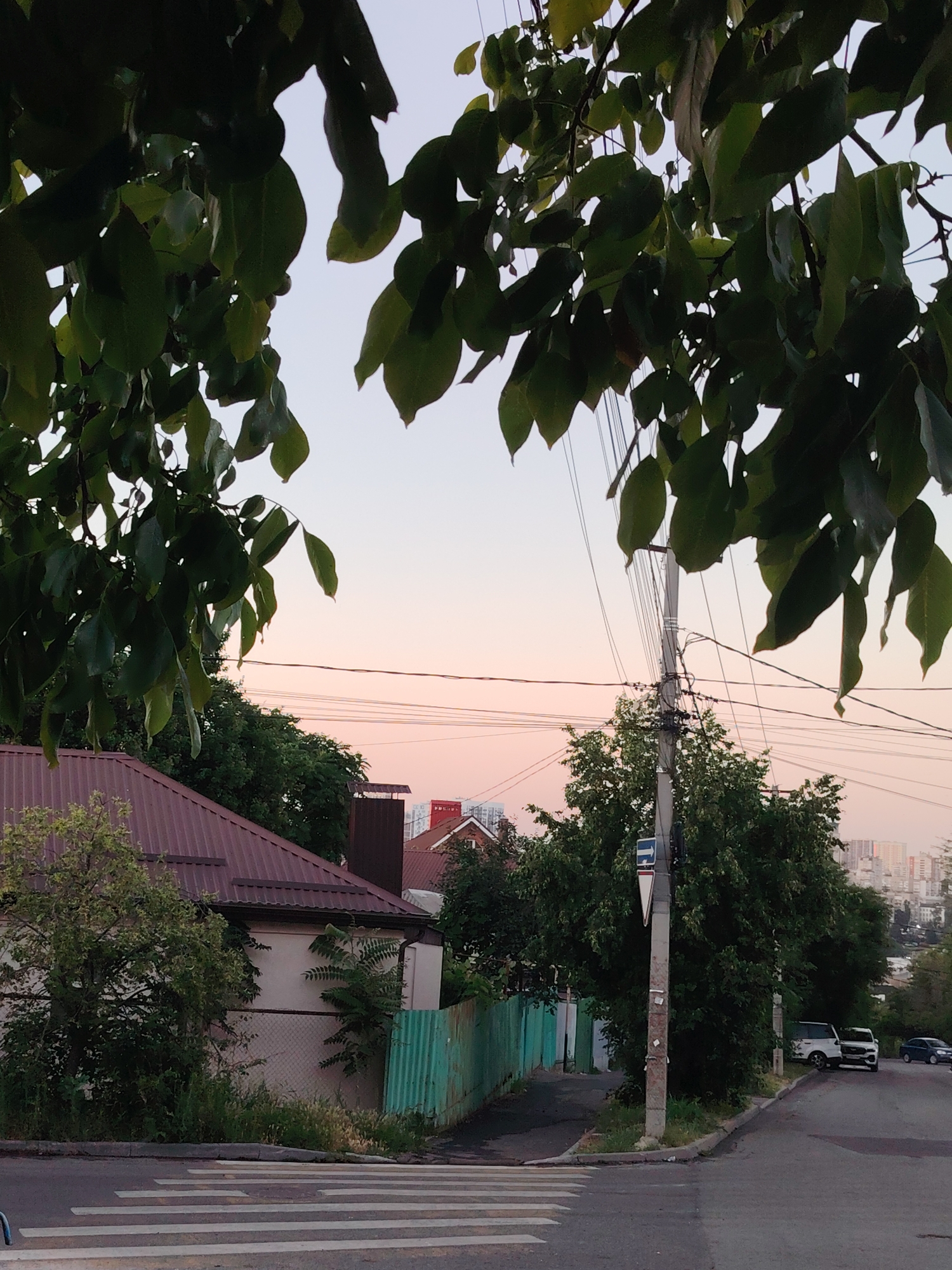 The image captures a street scene at dusk in Rostov-on-Don, Russia. The foreground features a crosswalk marked with white stripes on grey asphalt. Overhanging tree branches with lush green leaves frame the top of the image, obscuring parts of the sky.
In the middle ground, to the left, is a house with a dark red, corrugated metal roof and a light-colored wall. A light-colored fence with overgrown greenery is visible in front of it. To the right, a tall utility pole stands amidst dense green trees. Several wires are strung between the pole and other unseen points, crisscrossing the sky. A street sign, partially obscured by leaves, is attached to the utility pole.
Further into the background, more houses with red roofs and a distant cityscape with modern buildings are visible, silhouetted against the soft pastel hues of the sunset sky, which transitions from pale pink to light blue. The presence of residential buildings, a street, a utility pole, and cars parked along the road suggest a suburban or semi-urban environment.
The overall mood is peaceful and serene, indicative of the transition from day to night. The soft lighting and the silhouette of the distant city suggest a calm evening in Rostov-on-Don. There is no visible text in the image, except for the abstract symbols on the street sign.