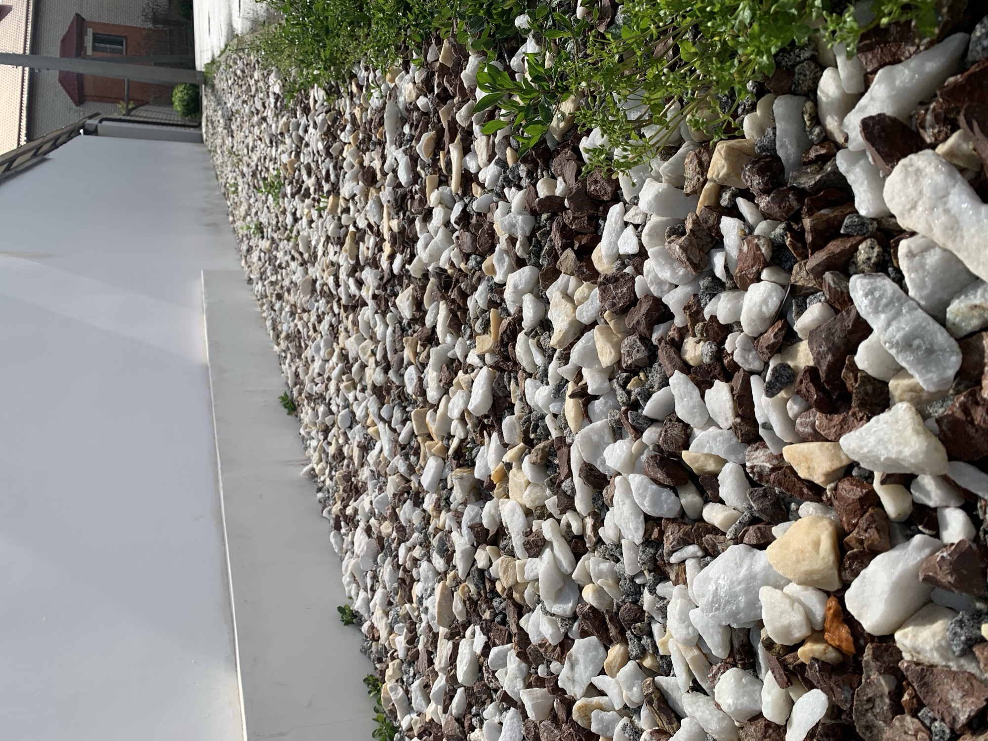 The image depicts a close-up view of a section of ground covered in a mix of white and brown gravel, with patches of green vegetation growing amongst the stones. To the left, a white structure is visible, likely part of a building or wall. The photograph is taken at an angle, giving a sense of depth to the gravel area. In the background, a building with a tiled roof can be seen. The location is unidentified, and the context of the scene is not provided. The gravel appears to be decorative, possibly used as a ground cover in a garden or landscaping project.