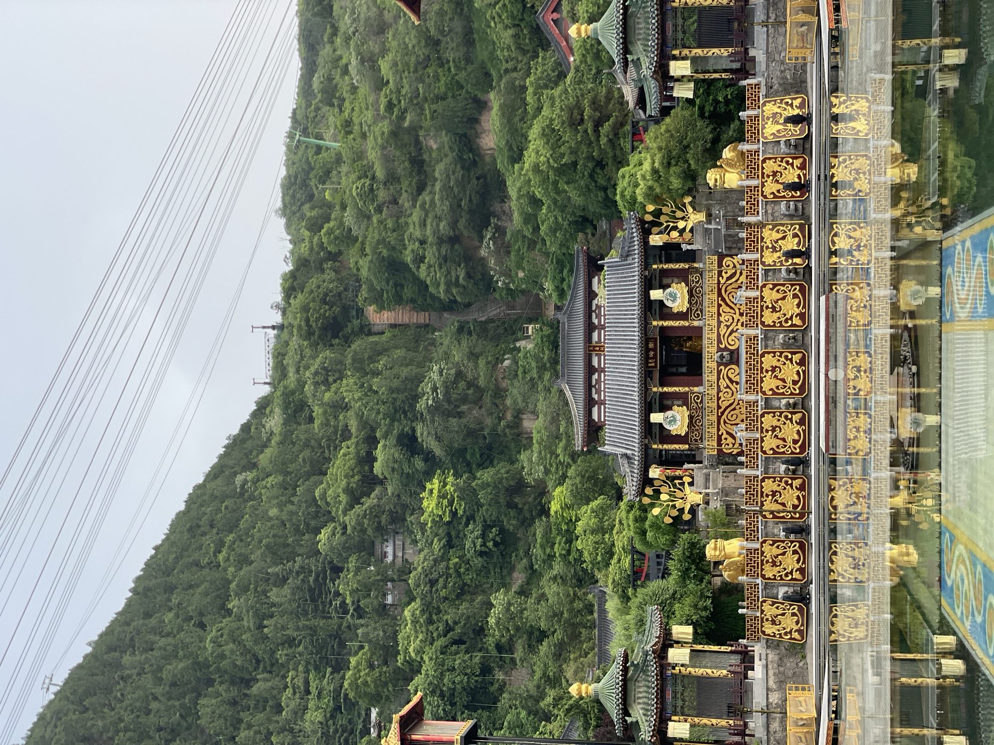 The image shows a view of a forested mountain in Lintong District, China, taken from a high vantage point overlooking traditional Chinese architecture. On the right side is an ornamental fence with red panels and gold embellishments, likely part of a temple or palace complex. This structure is partially reflected in a clear, smooth surface. The mountain is densely covered in green trees, and a path or stairway is visible climbing up the slope. Power lines stretch across the upper-left portion of the frame, intersecting with the mountain's skyline. The sky is overcast.