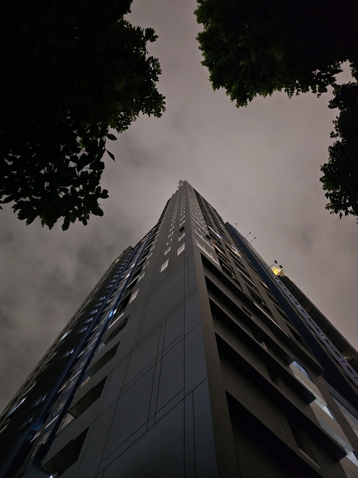 An upward-angle, full shot captures a modern, dark gray high-rise building at night in Bangkok, Thailand, viewed from below. The building, with its many windows, some illuminated from within, dominates the frame. The sky is overcast and dark, with visible clouds. Silhouetted against the sky at the top corners of the image are the dark green leaves of trees. The perspective emphasizes the height and imposing presence of the skyscraper.
