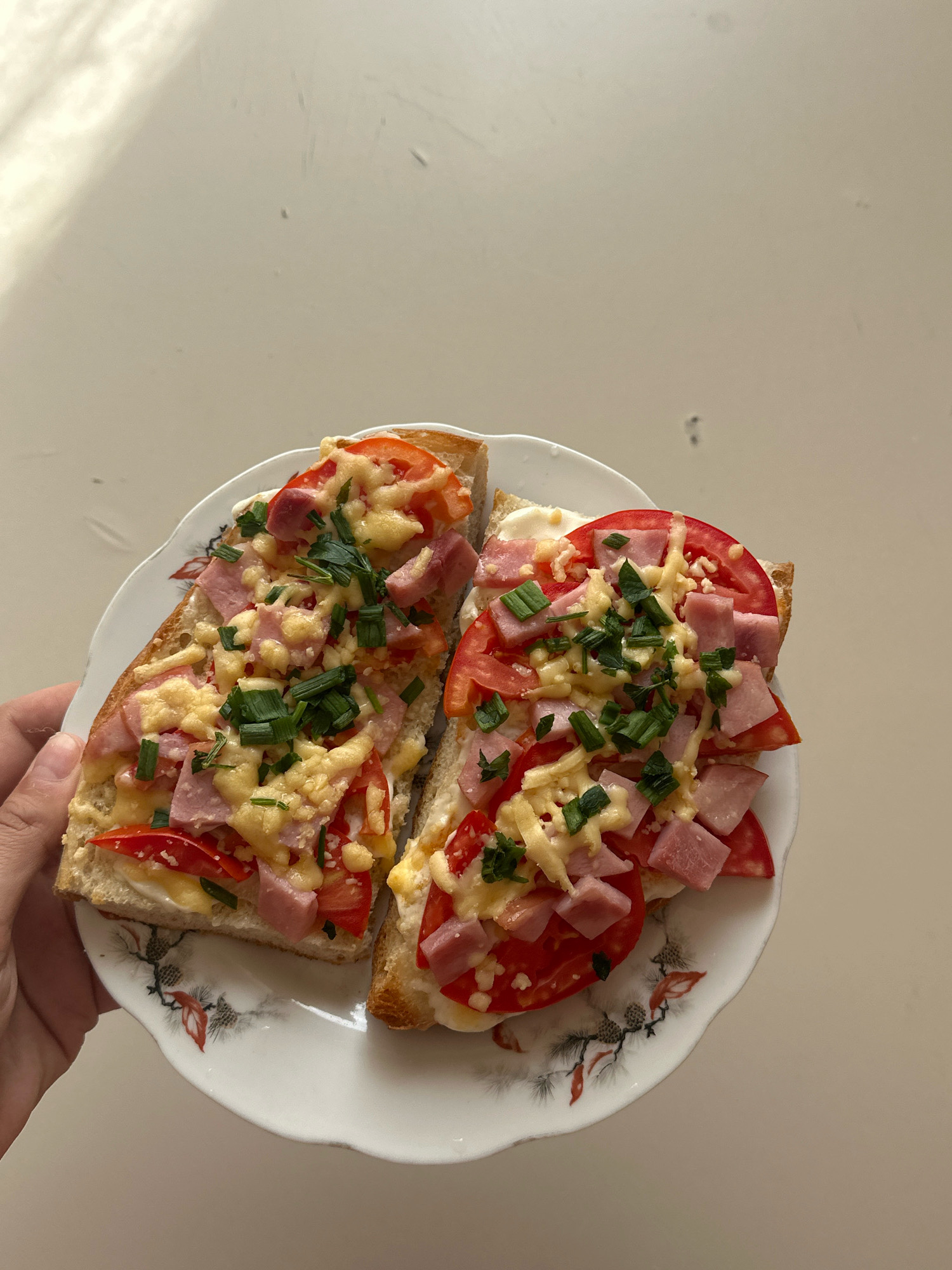 The image shows a hand holding a white, scalloped-edge plate with two pieces of toast topped with cheese, diced ham, and sliced tomatoes. Green herbs, possibly chives, are sprinkled over the toppings. The toast is golden brown. The plate has a delicate floral pattern. The background is a light-colored, smooth surface, possibly a table, with a diagonal shadow falling across it. The scene appears to be indoors, with natural light coming from the side. There is no indication of the city of Gyumri, Armenia, in the image.