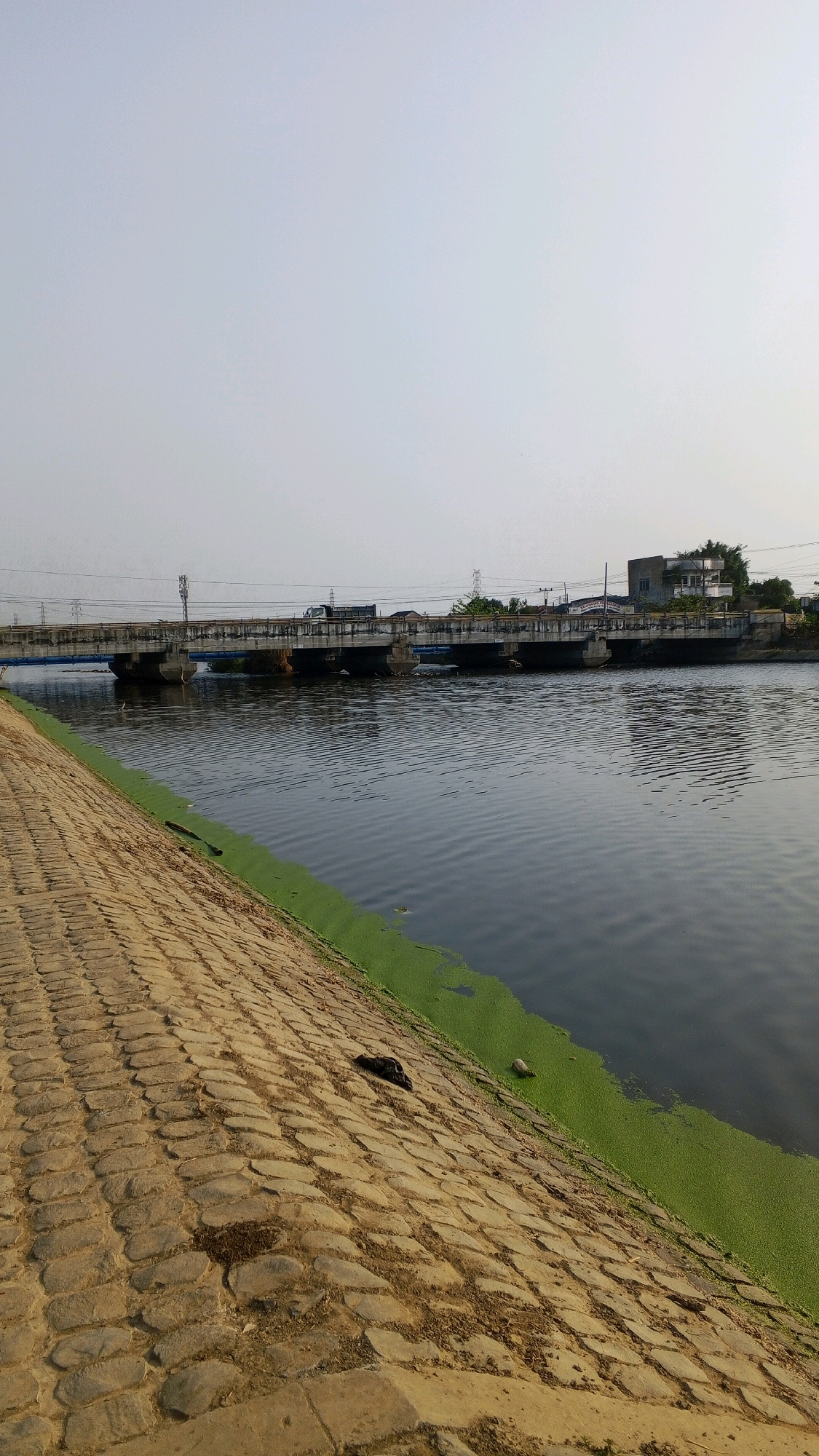 A concrete bridge spans a wide, dark canal under a pale sky in Semarang, Indonesia. The canal's banks are lined with a sloping wall of rough, tan-colored stones, some of which are covered in dried leaves and debris. Along the far bank, a dense, bright green mat of aquatic plants covers the water's surface. The bridge itself is supported by concrete pillars and has a road surface with a truck driving on it. Power lines and utility poles run parallel to the canal in the background. To the right of the bridge, a multi-story building with a flat roof and several windows is visible. The overall scene depicts a utilitarian urban waterway.