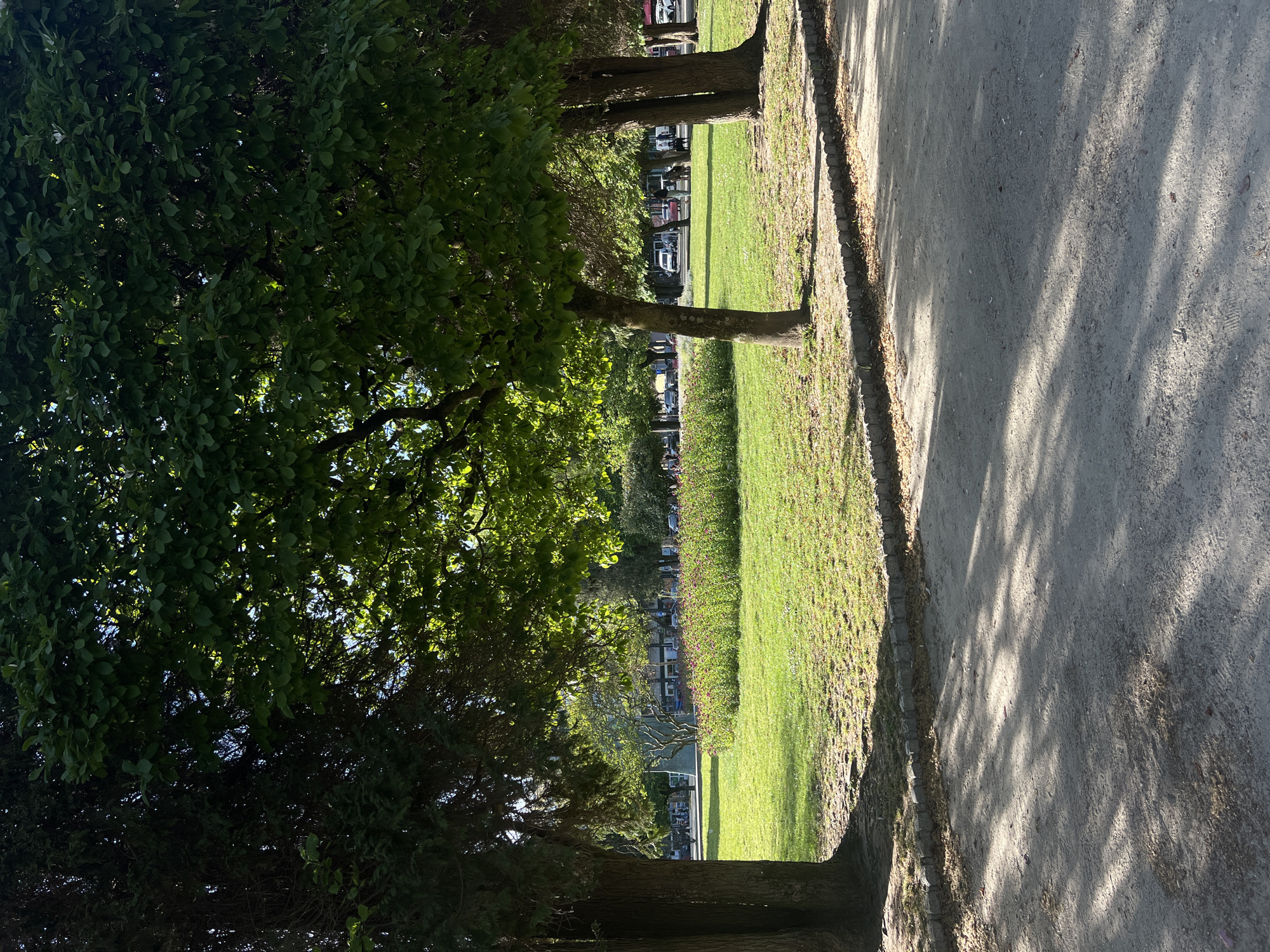 The image shows a view along a pathway in a cemetery. A grassy area with trees lines the path on one side, with headstones visible further in. The path is unpaved, and shadows of trees are cast upon it. Based on the style of the headstones and the foliage, the location is likely in the city of Porto, Portugal.