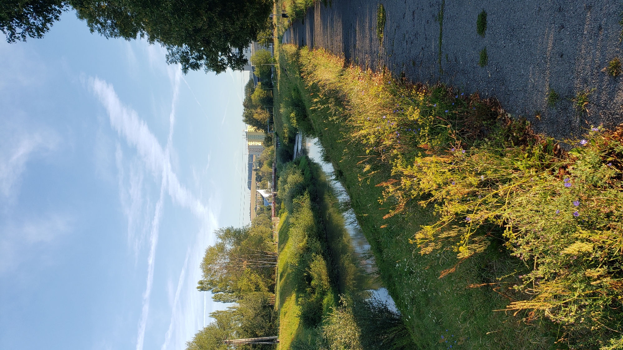 The image depicts a canal or small river flowing through a park or greenway area in Prešov, Slovakia. The canal runs from the middle ground towards the foreground, bordered by grassy banks and vegetation. A paved pathway runs alongside the canal on the right side of the image, with trees and a utility pole visible on the left bank. In the background, buildings, including residential towers and some smaller structures, are situated beyond a line of trees and a bridge crossing the canal. The sky is clear blue with wispy white clouds, and the scene is illuminated by the warm light of what appears to be late afternoon or early morning sun, casting long shadows on the pathway. There are no people visible in the image.