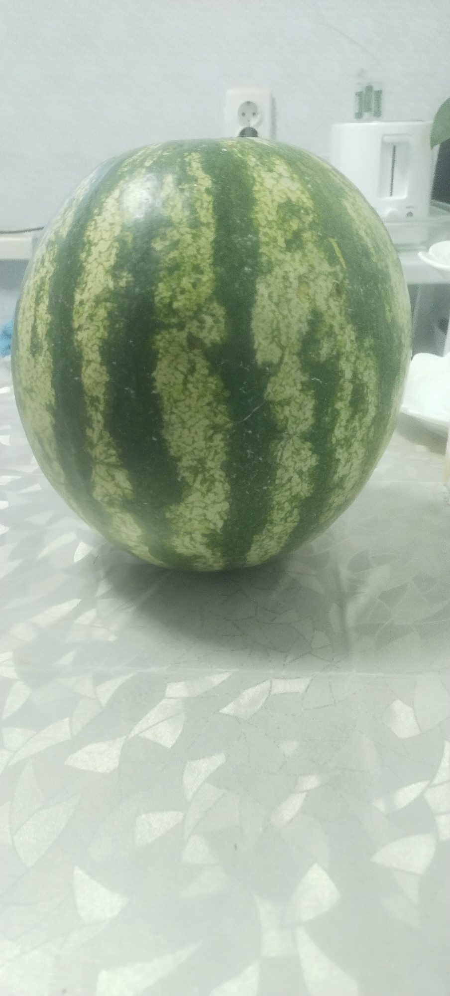 A whole watermelon rests on a table covered with a patterned tablecloth. The watermelon is round with dark green stripes alternating with lighter green and yellow mottled patches. In the background, a white electrical outlet is visible on a light gray wall. To the right of the outlet, a white toaster is present. The lighting in the scene is bright, casting shadows from the watermelon onto the tablecloth. The scene appears to be indoors, possibly in a kitchen or dining area in Pisochyn, Ukraine.