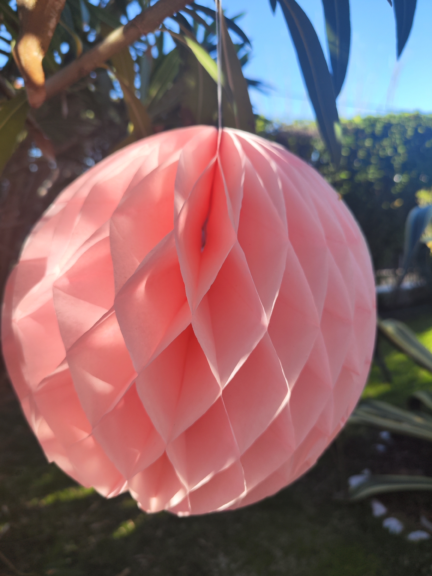 A close-up shot of a light pink paper honeycomb lantern hanging from a tree branch. The lantern is circular and the paper is folded into a diamond pattern. The background is blurred, but it appears to be a garden or park with green foliage and a blue sky. The location is assumed to be in the city of Ribeira Grande, Portugal, based on the user's query. There are no people visible in the shot.