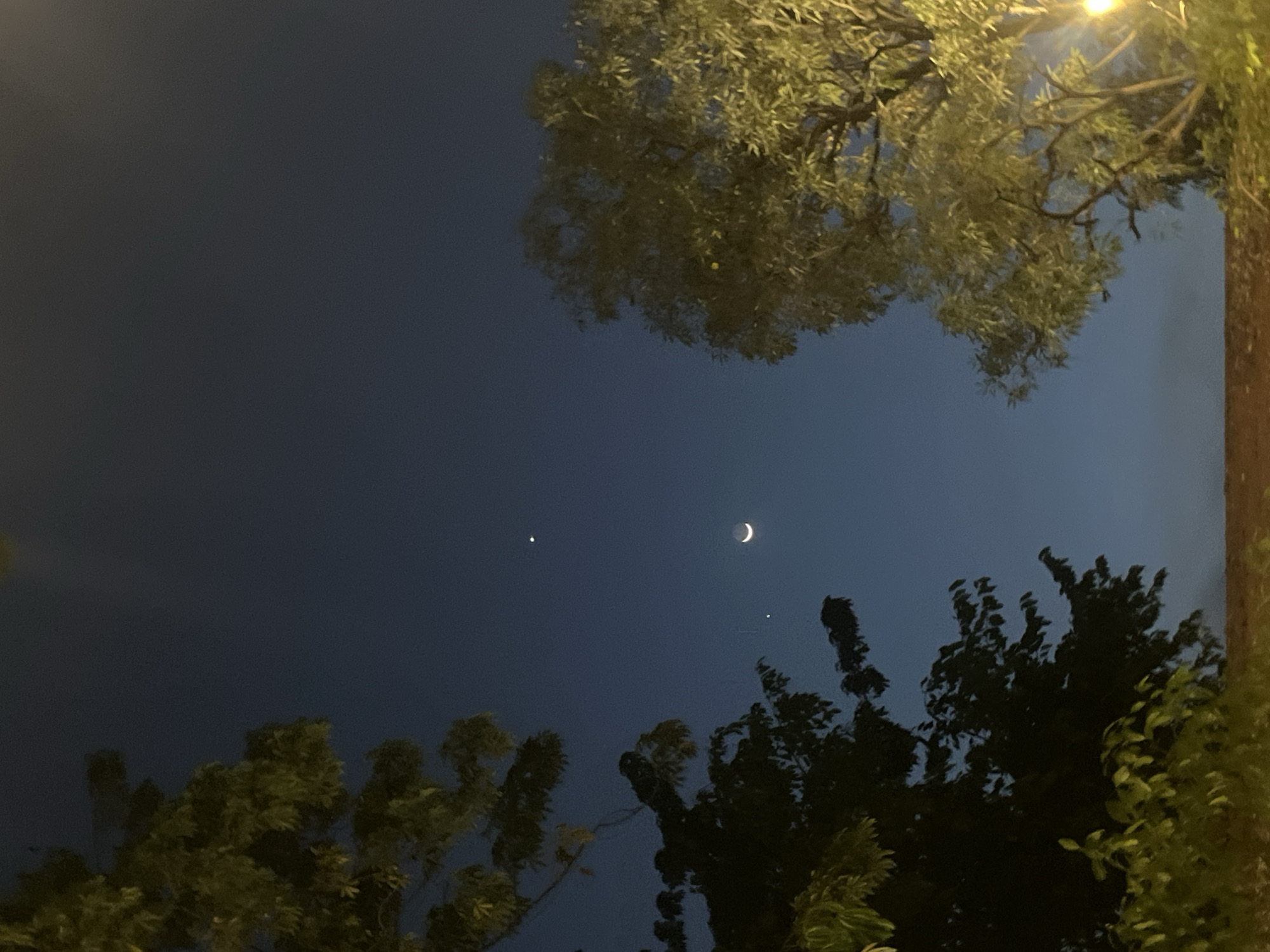 A crescent moon is visible in the dark blue night sky, positioned between two trees. One tree, on the left side of the image, is dark and leafy. The tree on the right is lighter, with some of its branches illuminated by a warm light source, possibly a streetlamp, at the bottom right edge of the frame. In the sky, in addition to the moon, there are two distinct bright star-like points. One is higher and to the left of the moon, while the other is directly above the moon. The horizon line at the bottom appears to be a dark, possibly earthen, surface. The overall scene suggests a tranquil night in an outdoor setting, likely Sidoarjo, Indonesia, given the presence of lush trees common in tropical regions and the atmospheric conditions consistent with a clear night sky.