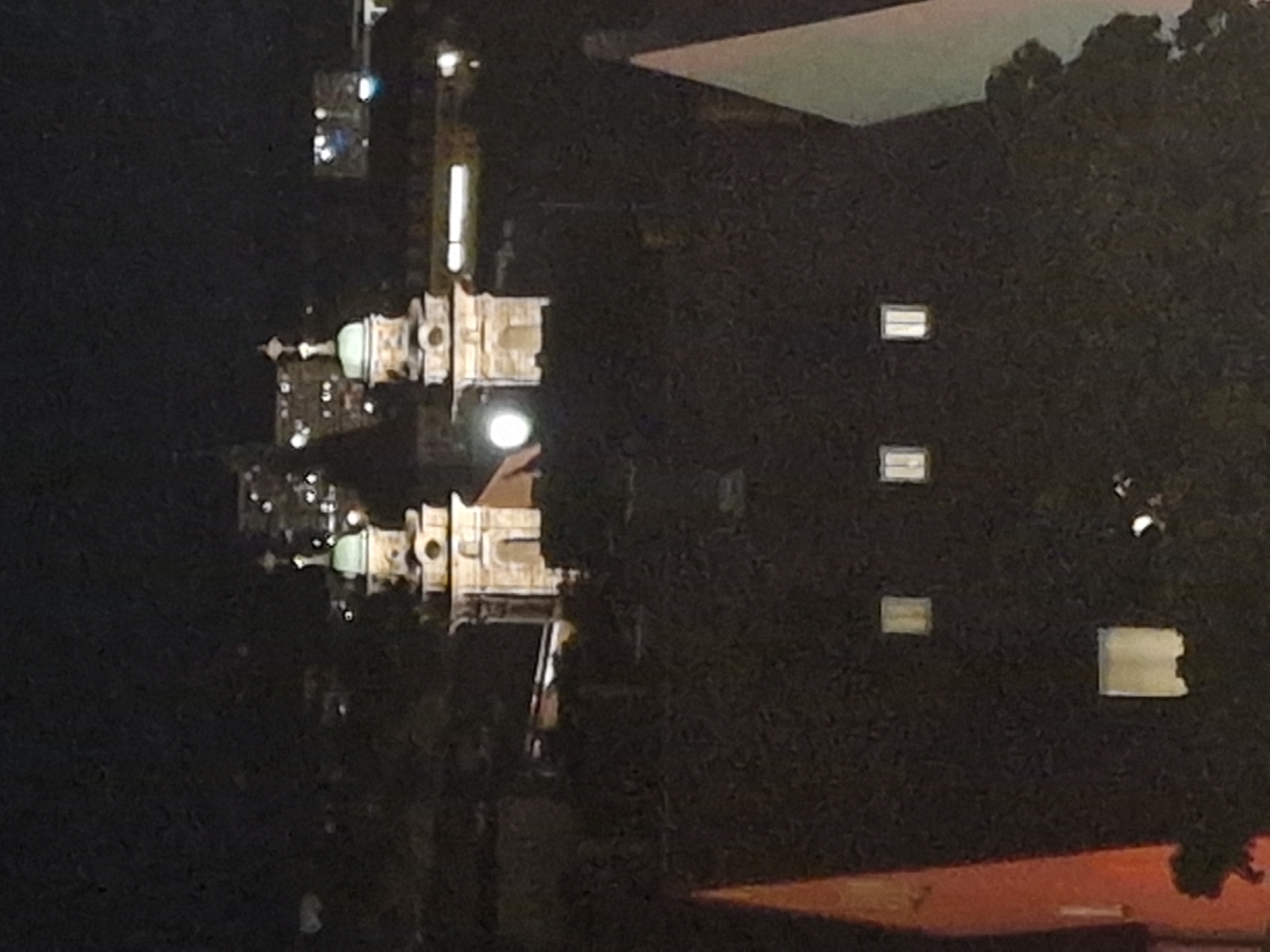 The image captures a nighttime view of a cityscape, with a prominent focus on a building featuring two bell towers topped with green domes and crosses. The architecture suggests a historical religious structure, likely a church or cathedral, situated in Nuremberg, Germany. The buildings are illuminated by artificial lights, creating a dramatic contrast against the dark night sky. The foreground is dominated by dark foliage, possibly trees, obscuring the lower portions of the buildings. Several windows are visible on the buildings, some emitting a warm, yellow light. In the background, distant city lights twinkle, indicating a populated urban area. The overall impression is one of a serene, nocturnal urban landscape.