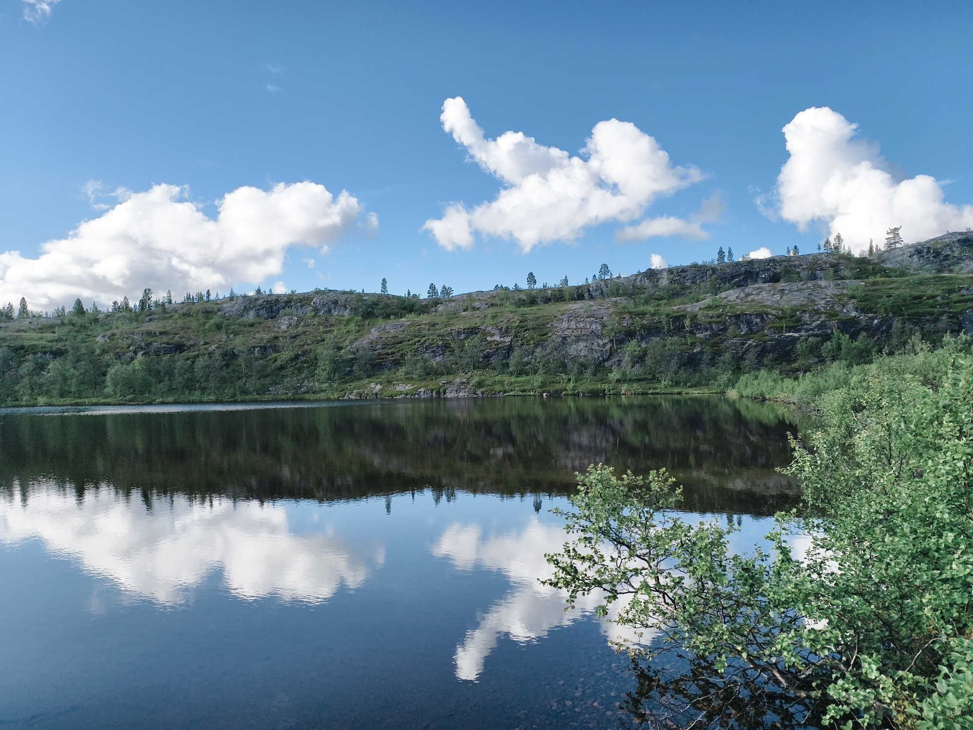 The image shows a tranquil lake reflecting a bright blue sky dotted with white, puffy clouds and a rocky, green hillside. The hillside is covered with low-lying vegetation and scattered trees. In the foreground, on the right side, a leafy green bush partially obstructs the view of the water. The lake itself is dark and still, providing a clear mirror image of the sky and the landscape above. The overall scene suggests a natural, remote environment, likely a wilderness area. The location is identified as Nyby, Norway. There are no people or animals visible in the image, and no actions are taking place. The image is a static landscape photograph.