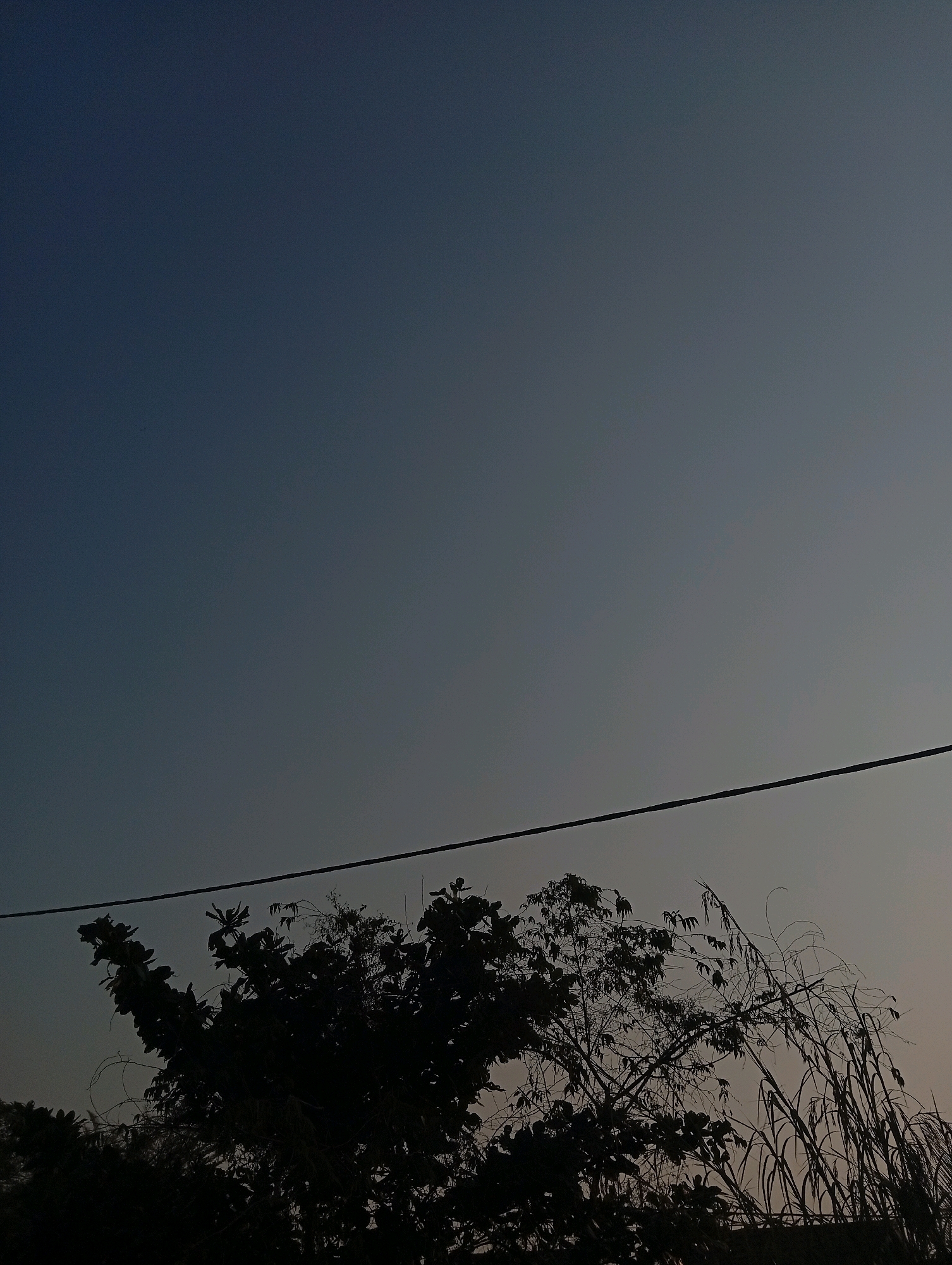 The image captures a silhouetted landscape against a gradient sky transitioning from a deep blue at the top to a lighter grey-blue near the horizon. A thin, dark power line bisects the upper portion of the frame. Below the power line, the silhouettes of various trees and tall grasses are visible. The trees have dense foliage in some areas and sparser branches in others, creating a textured silhouette. To the right, tall, reedy grasses stand prominently. The overall impression is of a twilight or early morning scene, with the natural elements rendered in dark shadow against the diffused light of the sky. The location is Kualu, Indonesia.