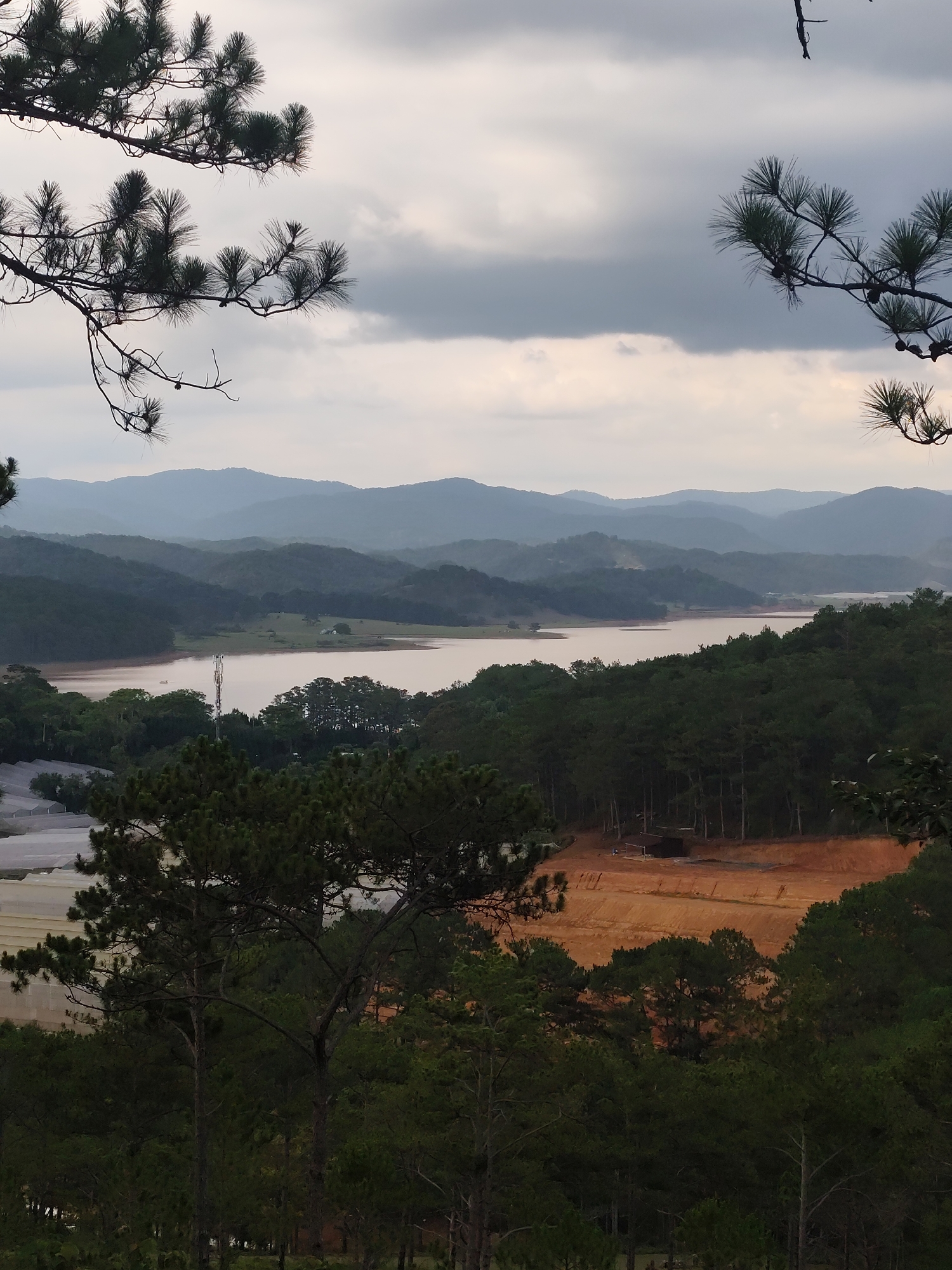 The image captures a vast, elevated landscape view over a valley in Lạc Dương, Vietnam, under a soft, diffused light from an overcast sky.
In the immediate foreground, dark, silhouetted pine tree branches with distinct needles frame the upper left and right corners, creating a natural vignette. Below these, dense green pine forests cover the rolling terrain, extending towards the midground.
The midground is dominated by a placid, light-colored body of water, likely a lake or reservoir, winding through the valley. On the left side of the lake, several translucent white structures, possibly agricultural greenhouses, are visible. A tall, slender communication tower stands prominently near the lake on this side. On the opposite bank to the right, a large patch of reddish-brown, cleared earth suggests recent land development or construction, with small structures present.
In the background, multiple layers of mountains recede into the distance, appearing progressively lighter and bluer due to atmospheric perspective, emphasizing the depth of the landscape. The sky is predominantly covered by a uniform layer of grey clouds.
The scene conveys a sense of tranquility and natural beauty, subtly interspersed with signs of human presence and development. The overcast conditions suggest either early morning or late afternoon, or simply a heavily cloudy day. No specific human activity is visibly taking place, and no text is discernible within the image.