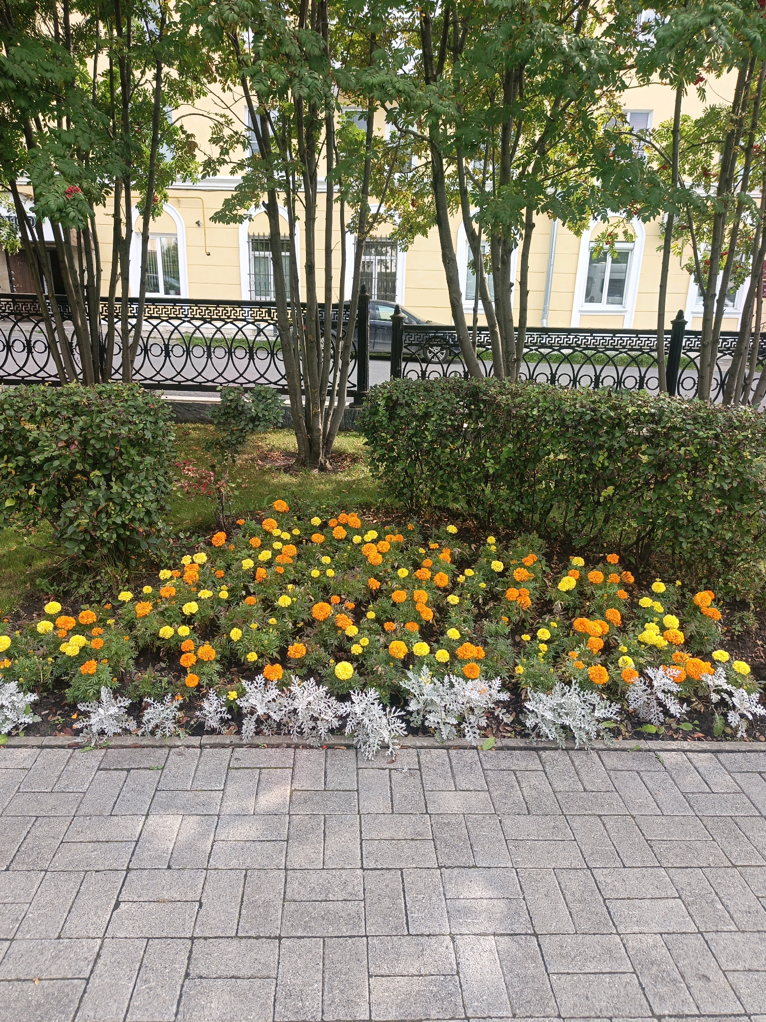 The image shows a sidewalk in front of a building. The sidewalk is made of gray interlocking pavers. Behind the sidewalk, there is a flower bed with orange and yellow marigolds. A hedge runs behind the flower bed, and then there are several trees with green leaves. In the background, a light yellow building with white window frames is visible. The building has a fence in front of it made of black metal with an intricate circular pattern. There are no people or animals visible in the image. The scene appears to be a well-maintained urban environment.
