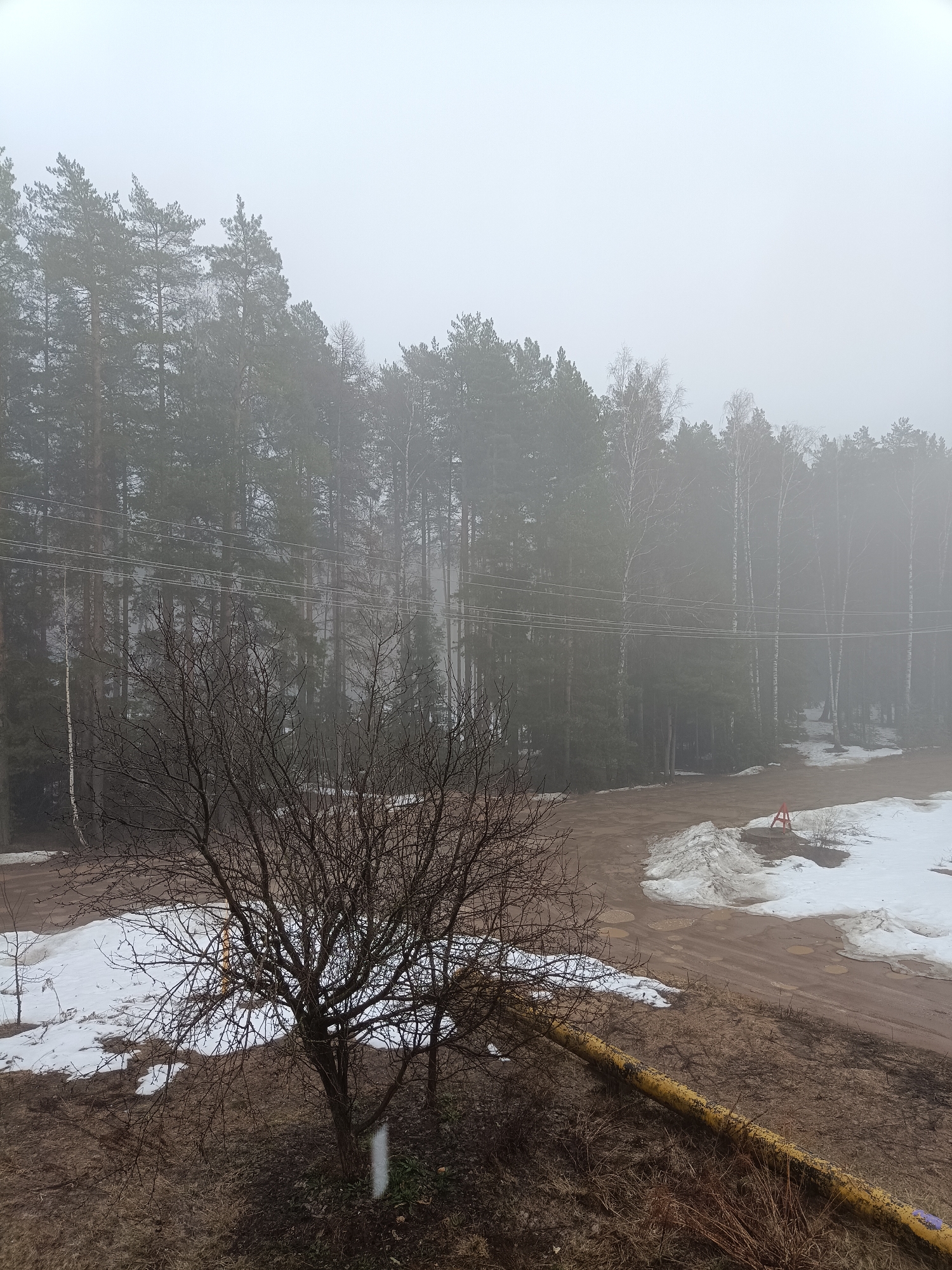 The image depicts a forest landscape in Noviy, Russia, on a foggy day. Patches of melting snow are visible on the ground. In the foreground, a bare tree stands amidst brown grass and a yellow pipe. A dirt road with puddles runs through the scene, leading into the obscured forest. Utility lines are strung across the trees. A red marker is visible near a pile of snow. No people are visible.