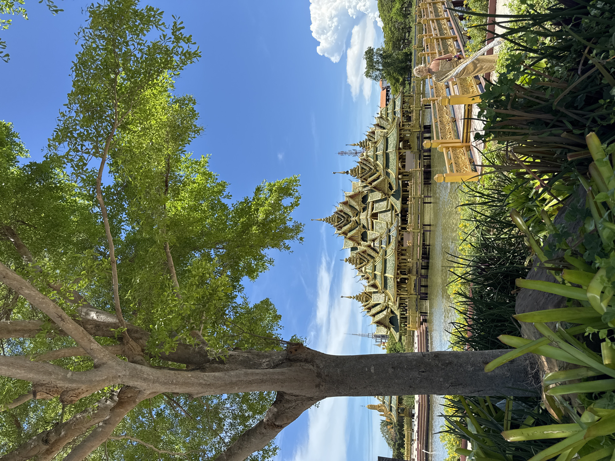 A landscape image shows a section of the Ancient City park, located in Bang Pu Subdistrict Municipality, Thailand. A large tree stands in the foreground, its trunk vertical and filling the center of the shot, and its green canopy reaching into the upper-left corner. Beyond the tree, the image reveals a body of water on which a traditional Thai pavilion structure is built, painted in gold and green. The structure is reflected in the water. To the right, vegetation consisting of bushes and plants can be seen. A partly visible figure of a blonde woman is wearing a golden dress, she is standing at the railing and watching the pavilion. The sky, visible above the pavilion and through the tree branches, is a clear blue with scattered white clouds.