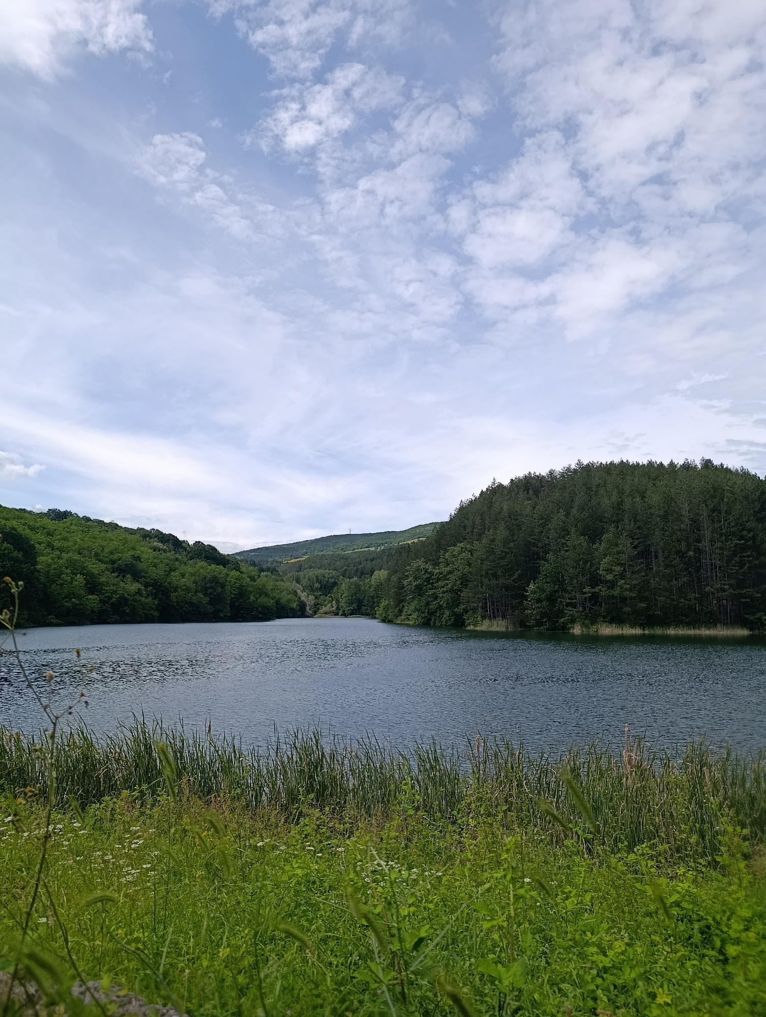 The image depicts a serene lake surrounded by lush green forests under a partly cloudy sky. The foreground features tall grasses and small white flowers, leading to the calm, dark blue water of the lake. In the midground, the lake stretches out, reflecting the sky and the dense coniferous and deciduous trees that line its shores. The background shows rolling hills covered in more forest, extending towards the horizon. The sky is a pale blue with scattered white clouds, some wispy and others more defined, suggesting a pleasant day. The scene is natural and tranquil, with no signs of human activity or man-made structures visible. This landscape is characteristic of the area around the lake in Nevestino, Bulgaria.
