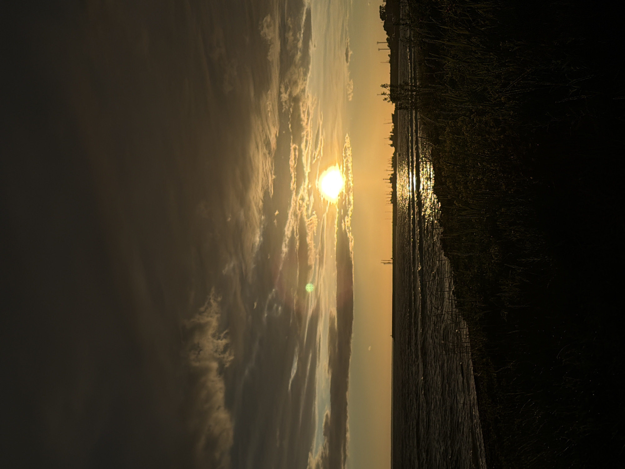 This is a photograph of a sunset over a body of water, likely the sea, as indicated by the location context of Tallinn, Estonia. The sun is a bright, glowing orb near the center of the image, partially obscured by clouds that are illuminated by its light, creating a warm, golden hue across the sky. The clouds themselves appear streaky and elongated, suggesting wind or movement in the atmosphere.
The foreground is dominated by dark, silhouetted vegetation, possibly reeds or tall grass, that borders the water's edge. This vegetation creates a stark contrast with the brightly lit sky and water. The water's surface is rippled, reflecting the sunlight in shimmering streaks, suggesting a gentle breeze. In the distance, a faint treeline and what appear to be distant structures or lights can be seen along the horizon, hinting at a shoreline or urban area.
The overall mood of the image is peaceful and serene, typical of a sunset scene. The time of day is clearly evening, as the sun is low in the sky. The weather appears to be clear enough for a sunset, though the presence of clouds adds visual interest. There is no visible text in the image.