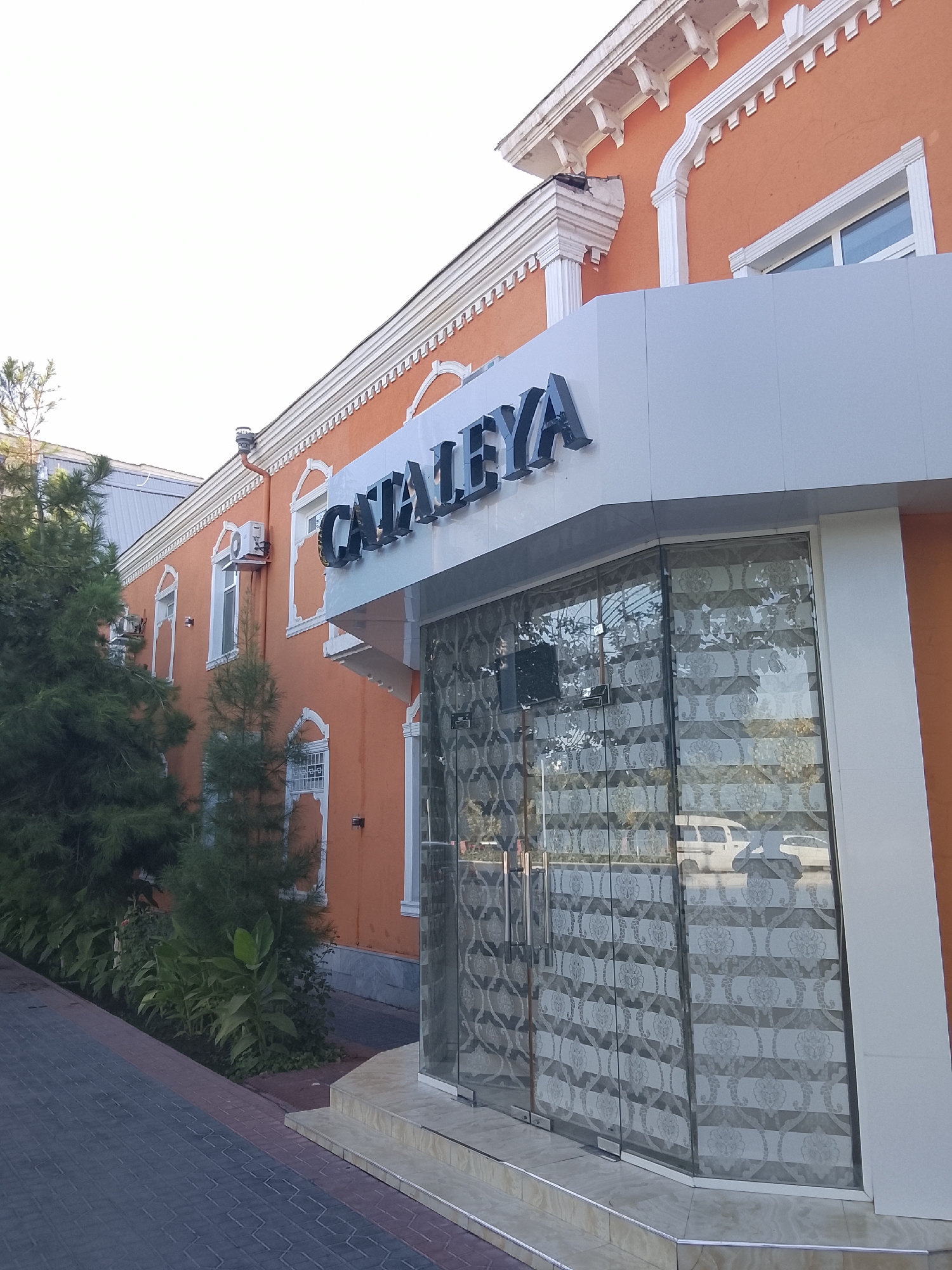 The image shows the exterior of a building with an orange facade in Fergana City, Uzbekistan. The building has white architectural detailing, including decorative molding along the roofline and around arched windows. A prominent sign with the name "CATALEYA" in dark, raised letters is mounted above a glass-enclosed entrance. The entrance features double glass doors with patterned window coverings and a reflective surface that shows a glimpse of a white van. To the left of the building, a paved walkway runs alongside a row of evergreen trees and lush green foliage. The sky above is bright and clear.