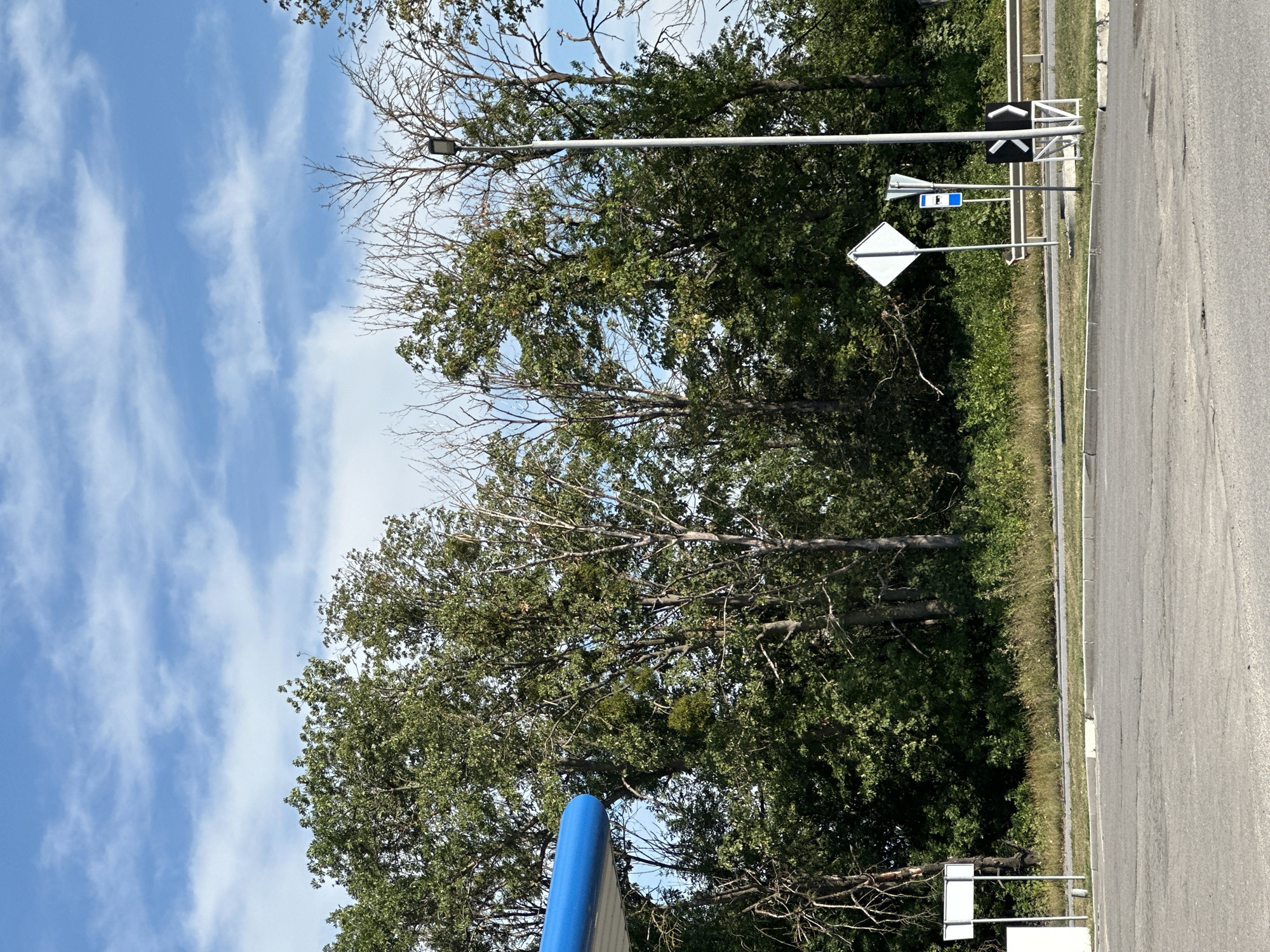 The image shows an outdoor scene on a sunny day with a blue sky and scattered clouds. In the foreground, there is a paved area, likely a parking lot or road, with some visible cracks and wear. To the left, a portion of a blue structure is visible, possibly part of a building or overhang.
Behind the paved area, there is a line of trees with dense green foliage and some bare branches. A street light stands to the right of the trees. Various road signs are also present, including a diamond-shaped sign, a rectangular blue and white sign, and a black and white sign with arrow symbols. A metal guardrail runs along the edge of the road behind the signs.
The scene appears to be a public space, possibly a rest stop or the edge of a town, given the road infrastructure and greenery. There are no people visible in the image.
The location in the city of Shatava, Ukraine is not explicitly depicted or indicated by any visible landmarks or text within the image. Therefore, no specific details about Shatava can be provided based solely on the visual content.