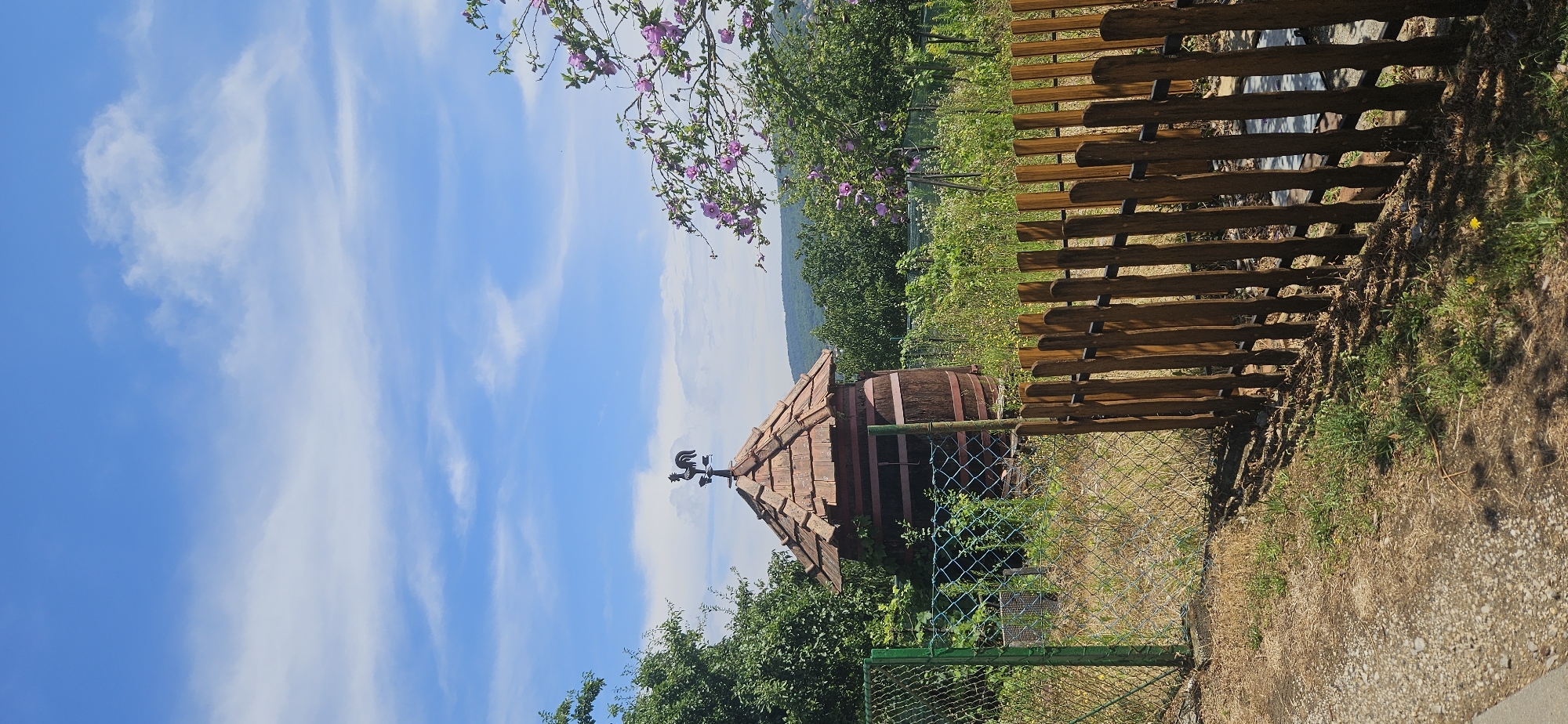 The image depicts a quaint scene in Hévíz, Hungary, featuring a barrel-shaped structure covered by a tiled roof, topped with a rooster weather vane. The structure is surrounded by lush greenery, including trees with pink blossoms and a dense garden. A wooden picket fence runs along the foreground, partially obscuring a chain-link fence. The sky is a vibrant blue with scattered white clouds, and rolling hills are visible in the distance. The overall impression is one of a peaceful, rural setting.