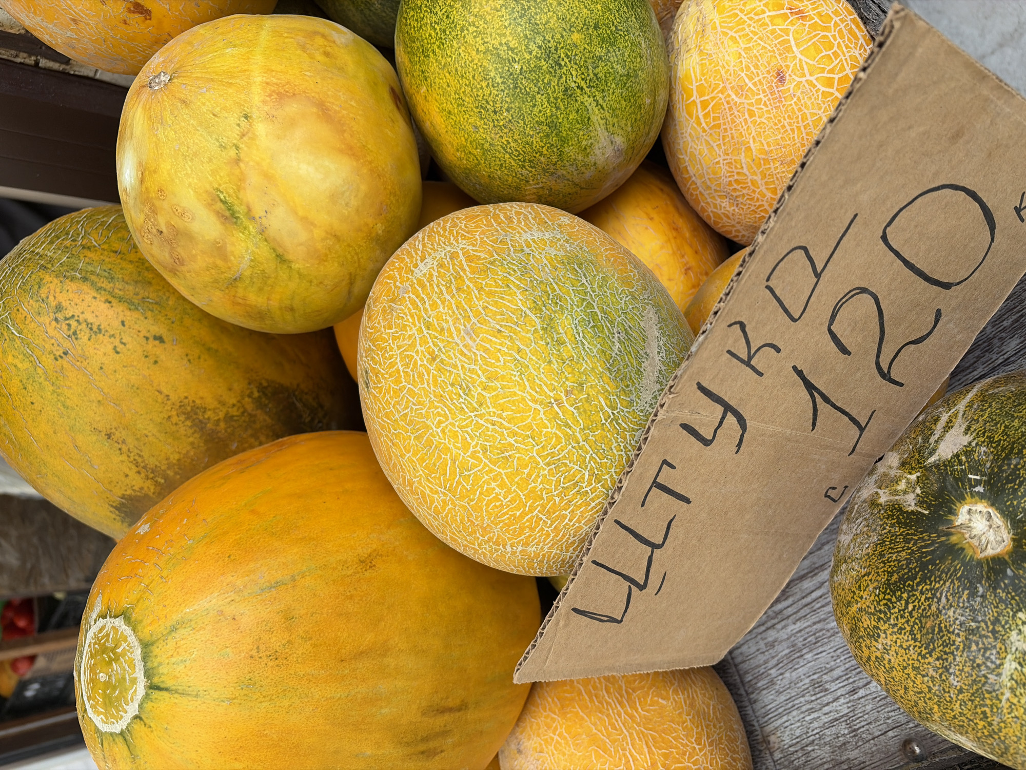 A close-up, eye-level shot shows a pile of ripe, yellow-orange and green melons displayed on a wooden surface. A piece of brown cardboard with black handwritten Cyrillic text and numbers, "ШТУЧКА 120", is placed diagonally in the foreground. The melons are of various sizes and have distinct netting patterns on their rinds. The lighting suggests an outdoor setting, possibly a market stall. The background is blurred but hints at more produce and possibly some structures.
