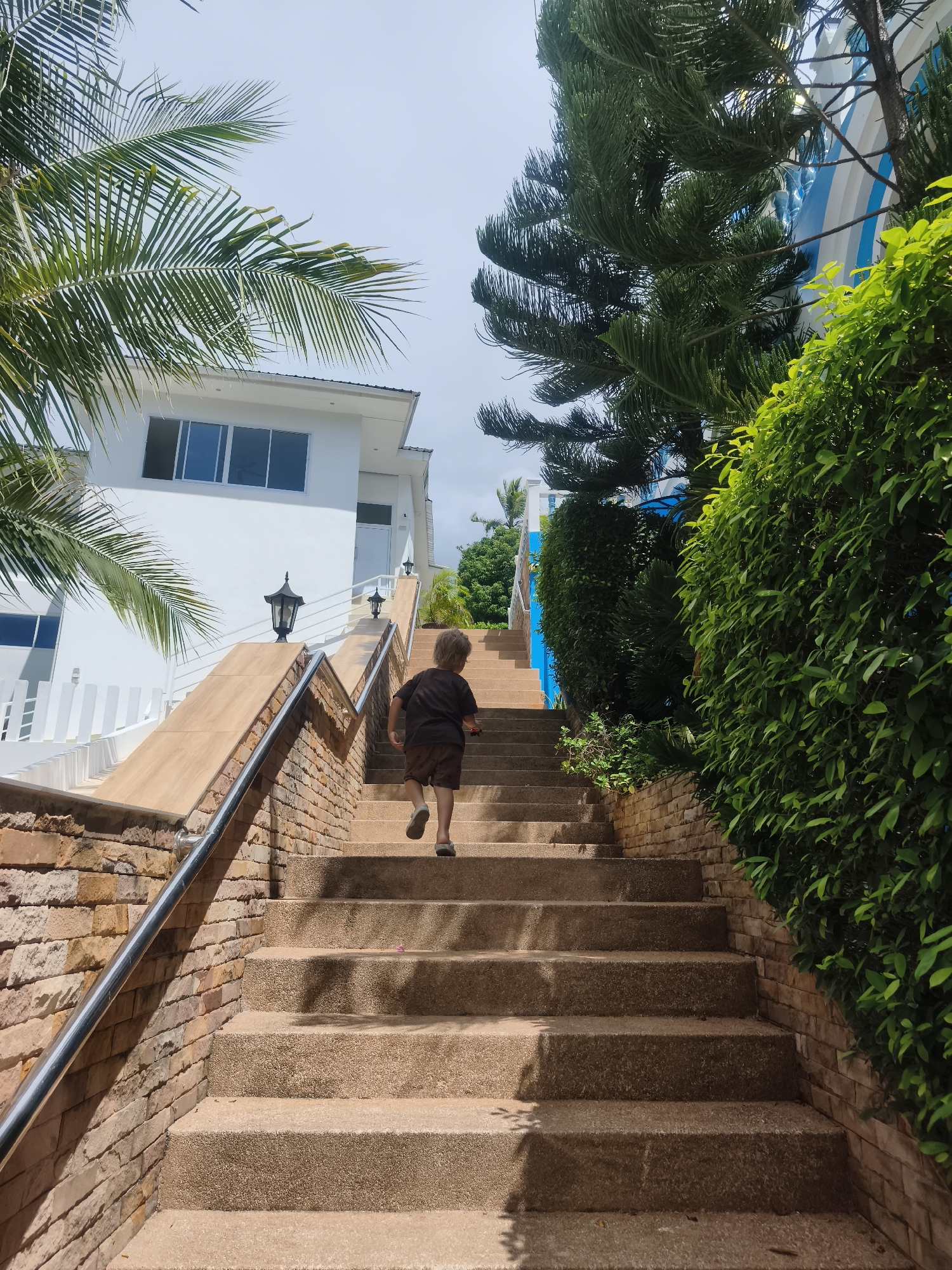 A young child, observed from behind, ascends a multi-flight outdoor staircase constructed of light brown aggregate concrete steps, flanked by retaining walls of layered, multicolored stone tiles in shades of brown, tan, and reddish-brown. A silver-toned metal handrail runs along the left side. The child wears a dark brown t-shirt, dark brown shorts, and light-colored sandals, with their right foot lifted mid-stride. A small red object is barely visible in the child's left hand.
To the left of the stairs, a two-story white building with a dark roof and large, rectangular, dark-framed windows reflecting the sky is partially visible, behind hanging green palm fronds. Two black, traditional-style lamps are mounted on the stair's left side at an intermediate landing. To the right of the stairs, dense green foliage, including tall evergreen trees with needle-like leaves and bushy hedges, lines the path, partially obscuring a building with blue and white horizontal stripes. The sky above is light blue and largely clear, indicating bright daylight conditions in Baan Hua Thanon, Thailand. Shadows are distinctly cast on the stairs and surrounding elements, consistent with strong sunlight.