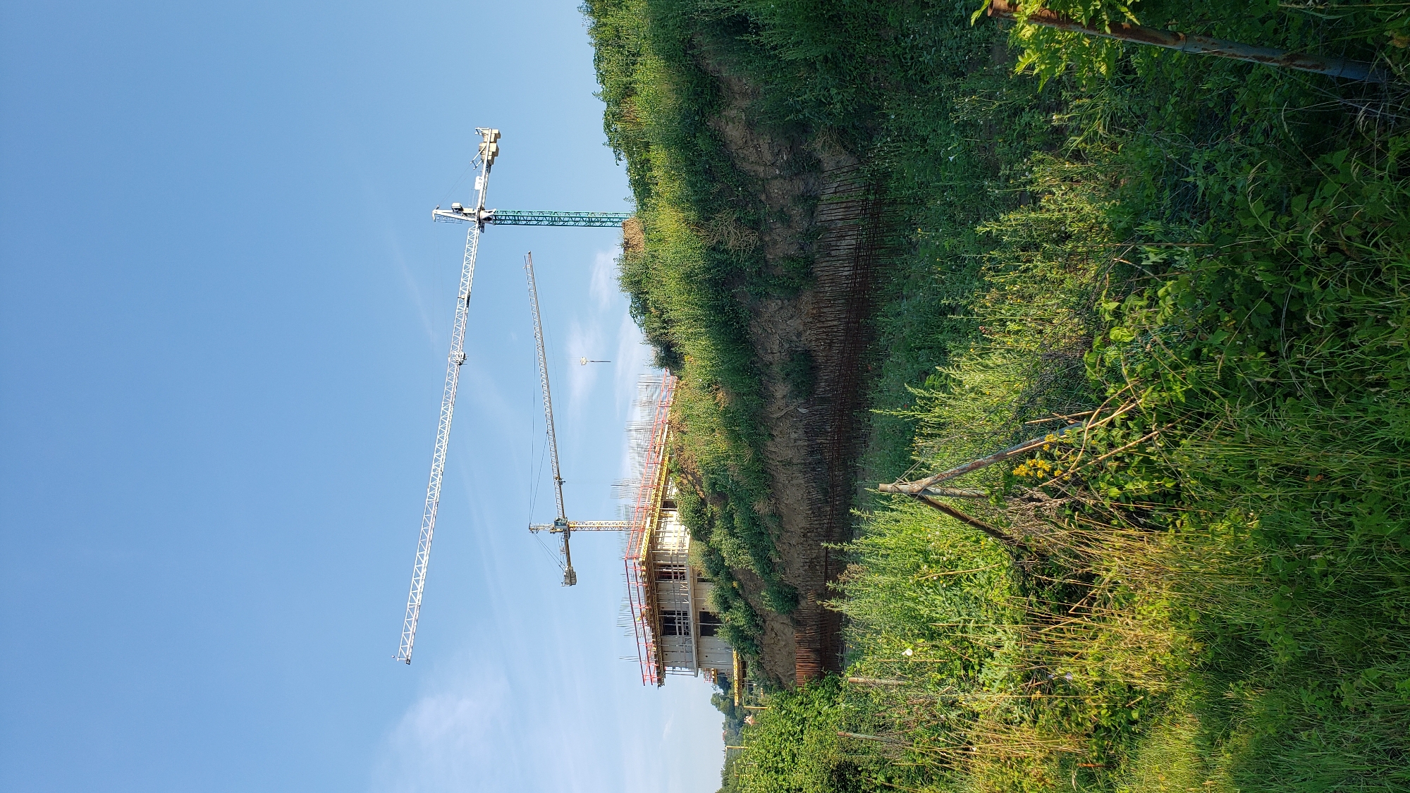 The image depicts a construction site under a clear blue sky. Two tower cranes are visible, one green and one white, both with long jibs extending horizontally. A multi-story concrete structure is under construction on a hillside, with scaffolding and rebar exposed. The foreground is filled with lush green vegetation, including tall grasses and bushes, and some bare earth is visible on the slope. The scene suggests an ongoing building project on the outskirts of a city, likely in an area with natural topography. While the specific location in Prešov, Slovakia is not visually identifiable from the image alone, it presents a typical construction scenario. There are no people visible in the frame.