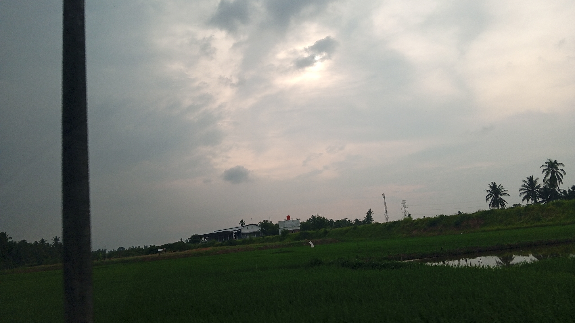 This is a landscape photograph taken in Payarangkuluh, Indonesia. The image captures a rural scene with a focus on agricultural fields and a cloudy sky. In the foreground, lush green rice paddies stretch across the frame, with a small body of water reflecting the sky. A dark, vertical pole, possibly a utility pole or tree trunk, is prominently positioned on the left side of the image, partially obscuring the view.
In the mid-ground, a gentle slope is covered with green vegetation. Several structures are visible on this elevated area, including a long, low-lying building with a light-colored roof, and a smaller building with a red water tank on top. Communication towers and electrical pylons are also present, indicating infrastructure in the vicinity. A few palm trees are scattered throughout this area, with a cluster of larger palm trees on the right side of the frame, silhouetted against the sky. The sky itself is filled with diffused sunlight filtering through a thick layer of clouds, creating an overcast and somewhat muted lighting condition. The overall impression is of a tranquil, agricultural landscape under a cloudy sky.